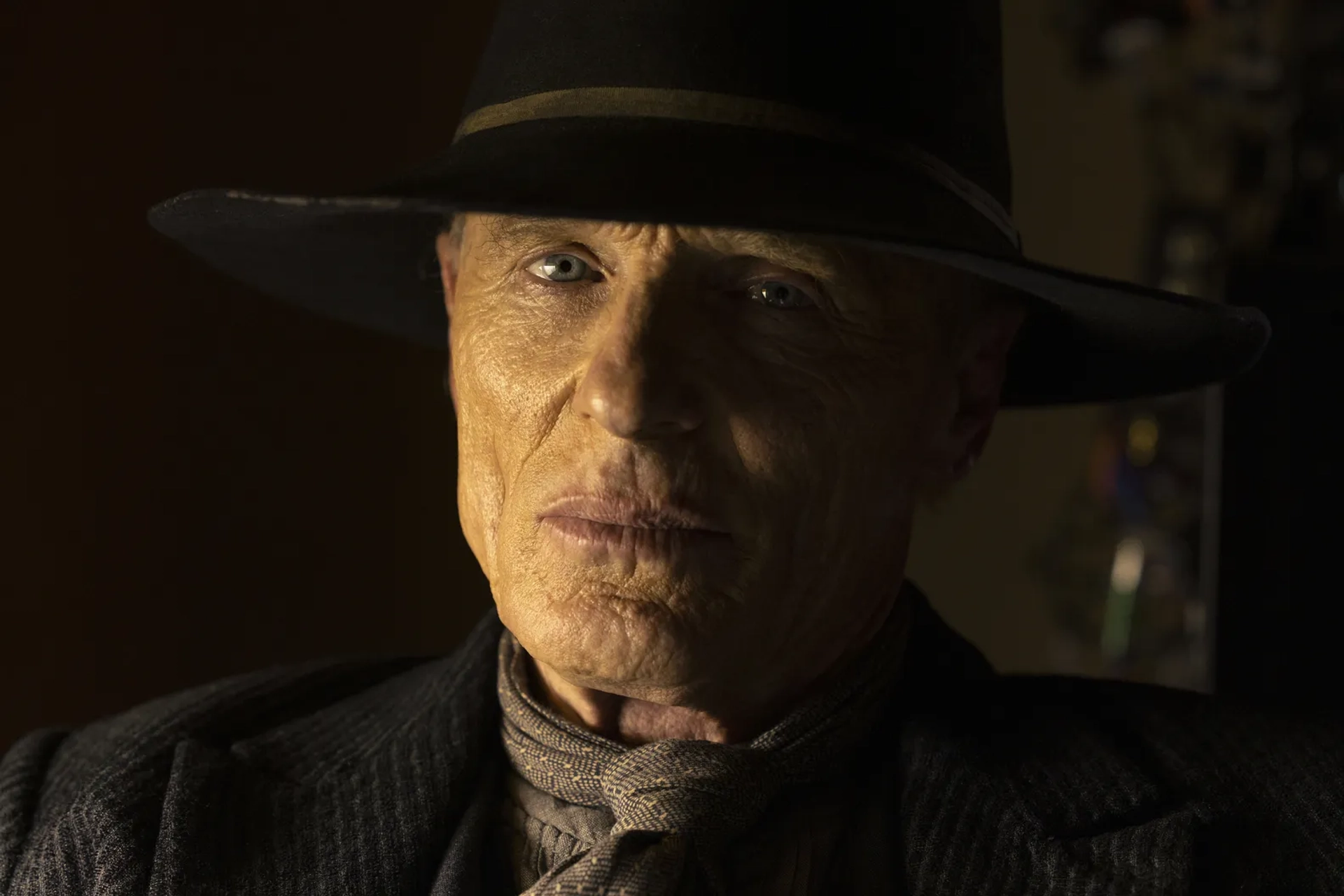 Ed Harris in Westworld (2016)