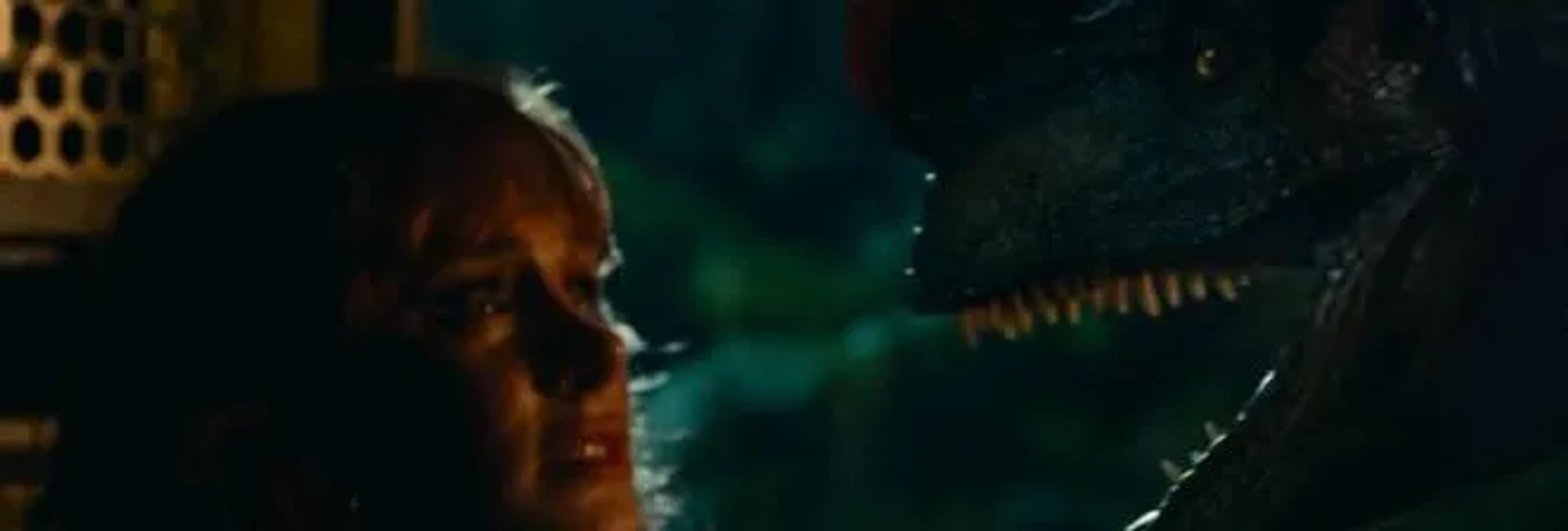 Bryce Dallas Howard in Jurassic World Dominion (2022)