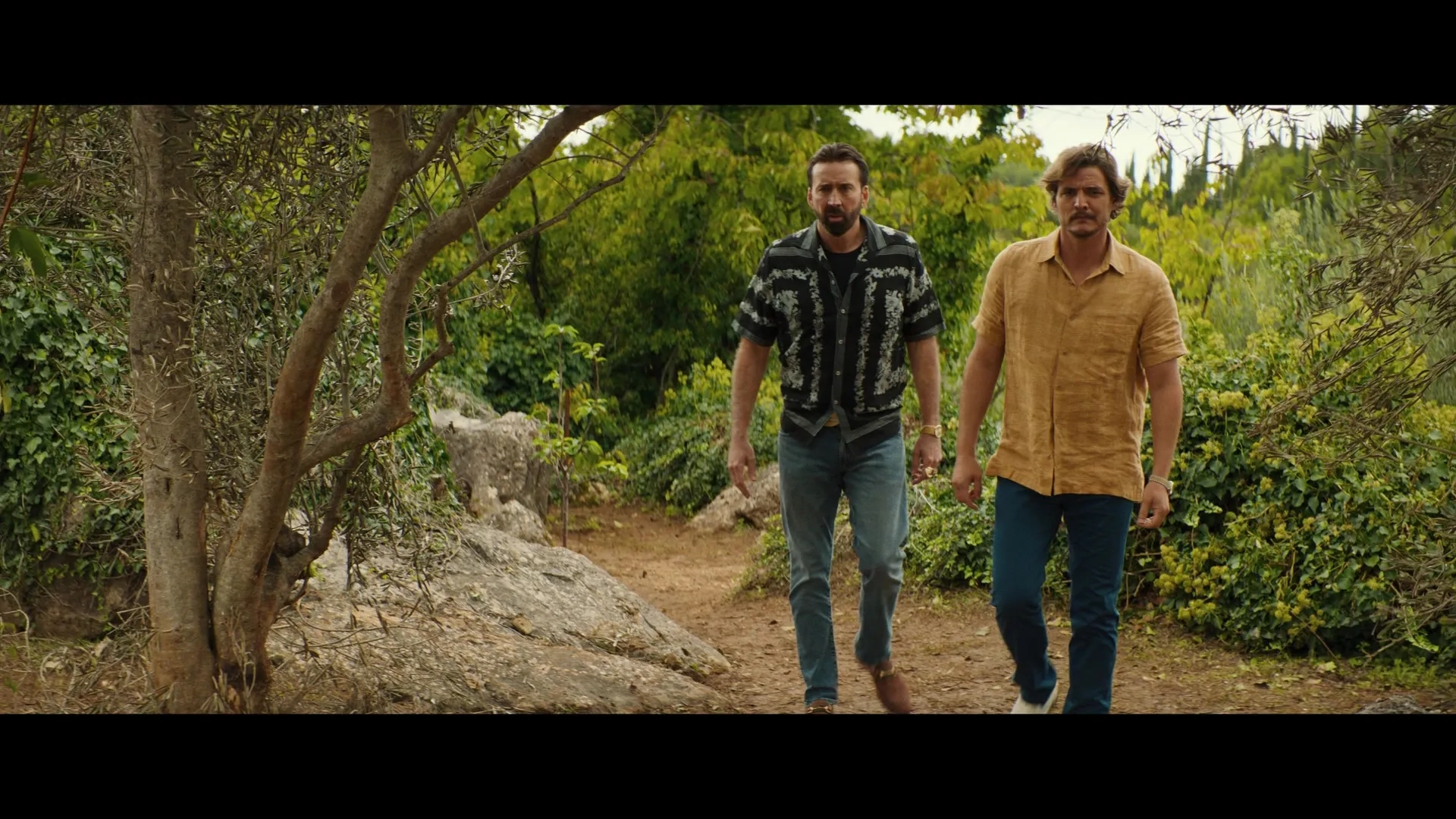 Nicolas Cage and Pedro Pascal in The Unbearable Weight of Massive Talent (2022)