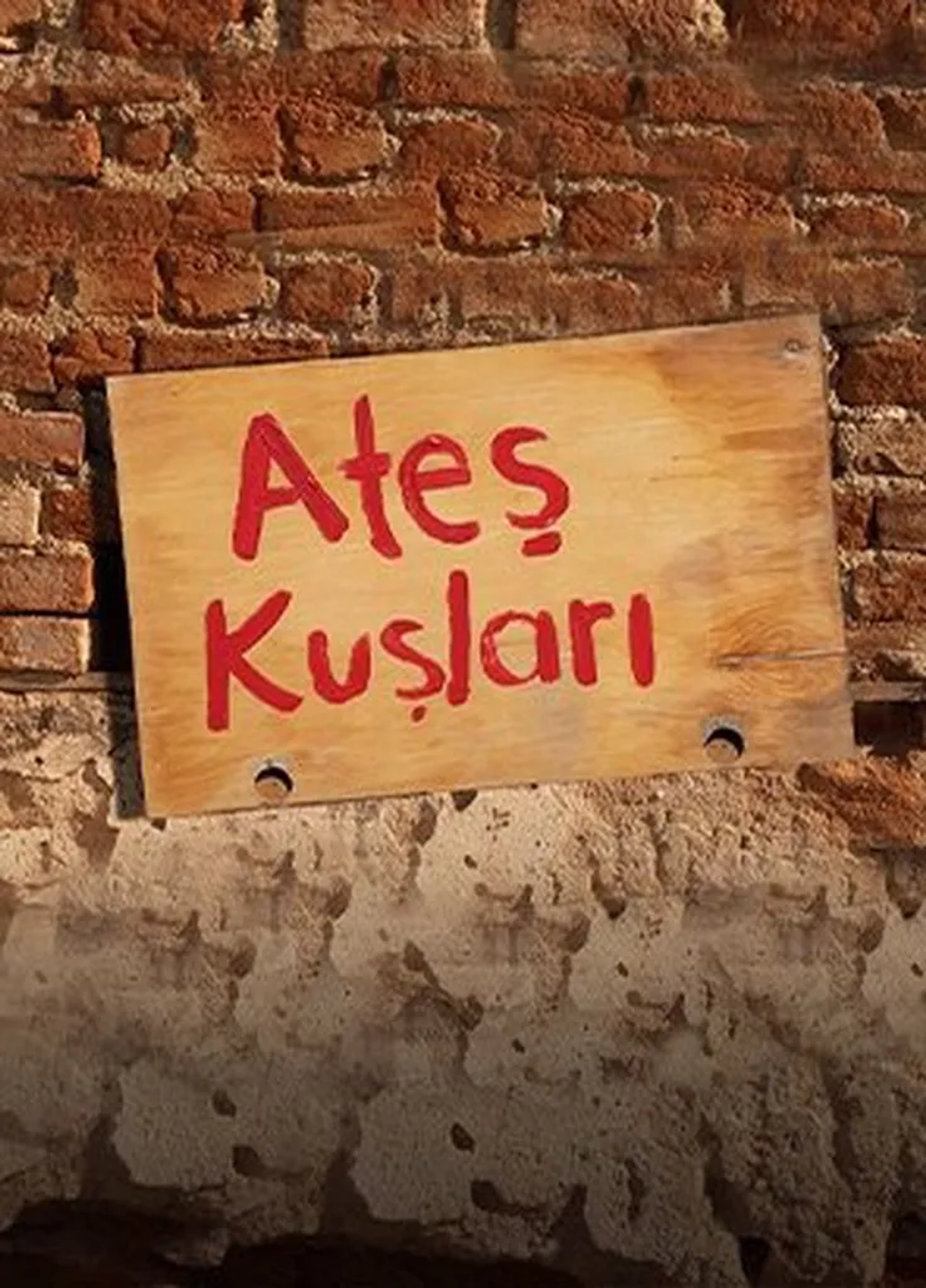 Ates Kuslari (2023)