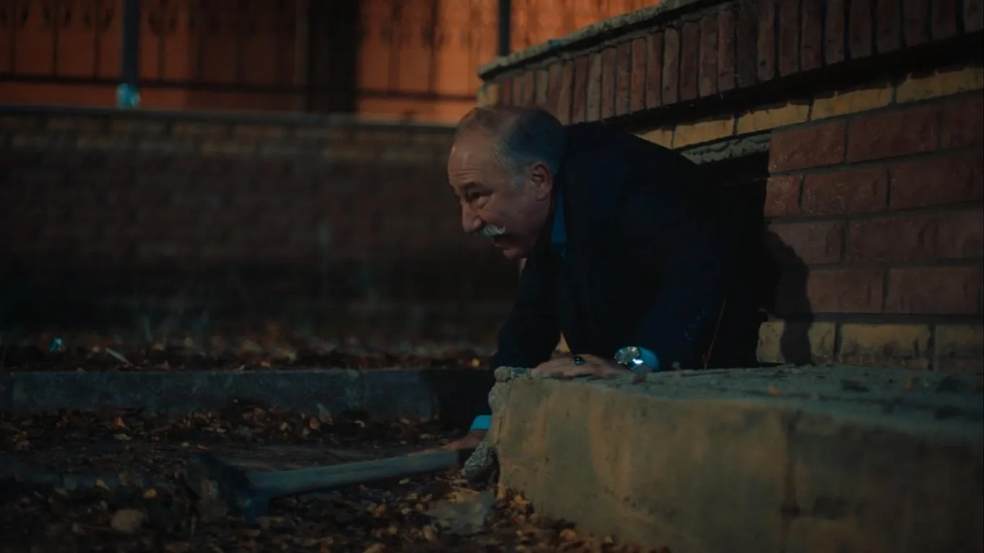 Altan Erkekli in The Steppe (2018)