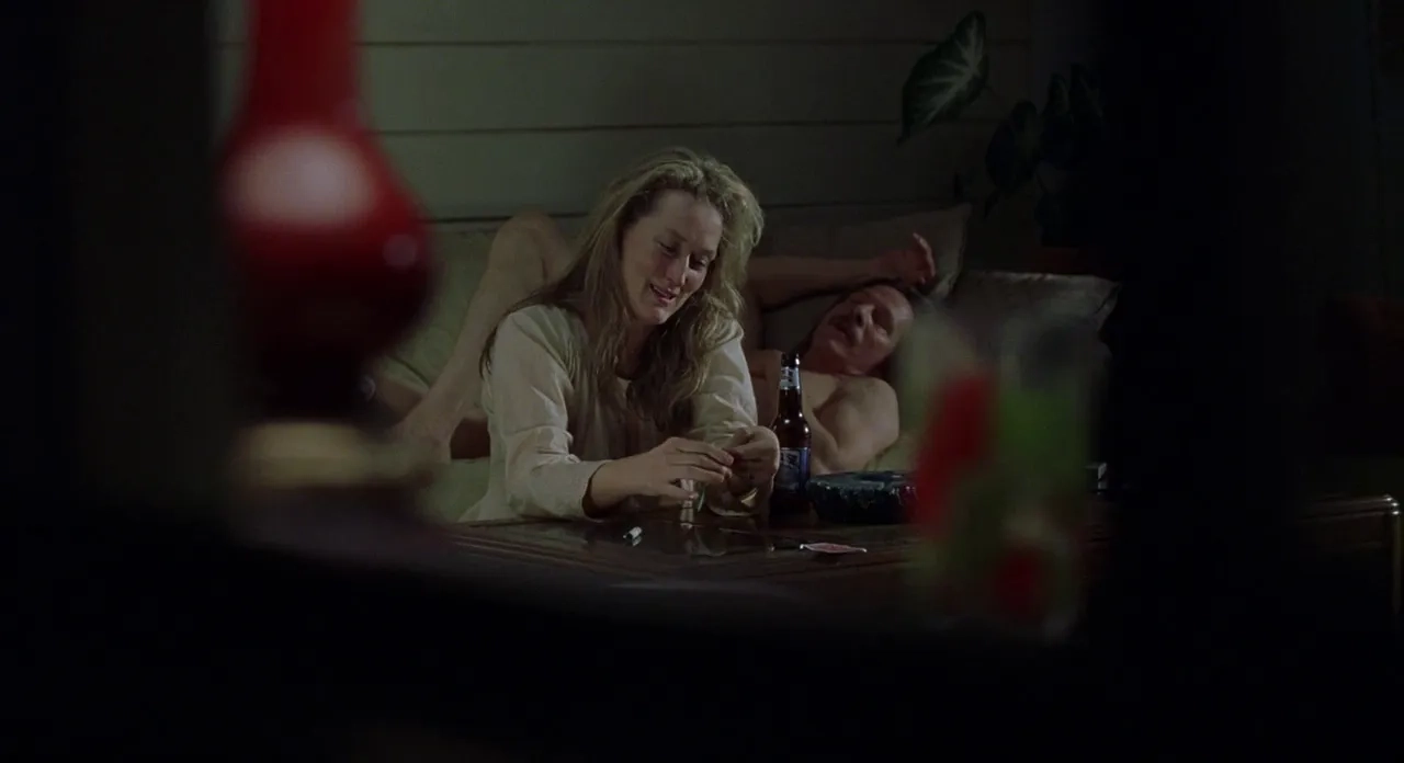 Meryl Streep and Chris Cooper in Adaptation. (2002)