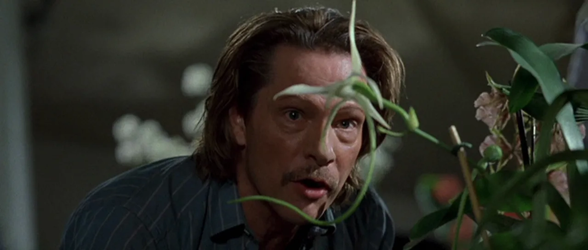 Chris Cooper in Adaptation. (2002)