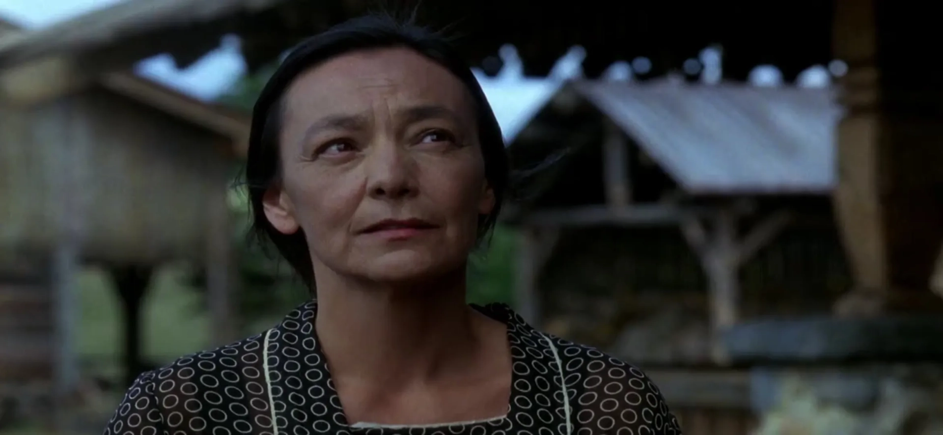 Tantoo Cardinal in Legends of the Fall (1994)