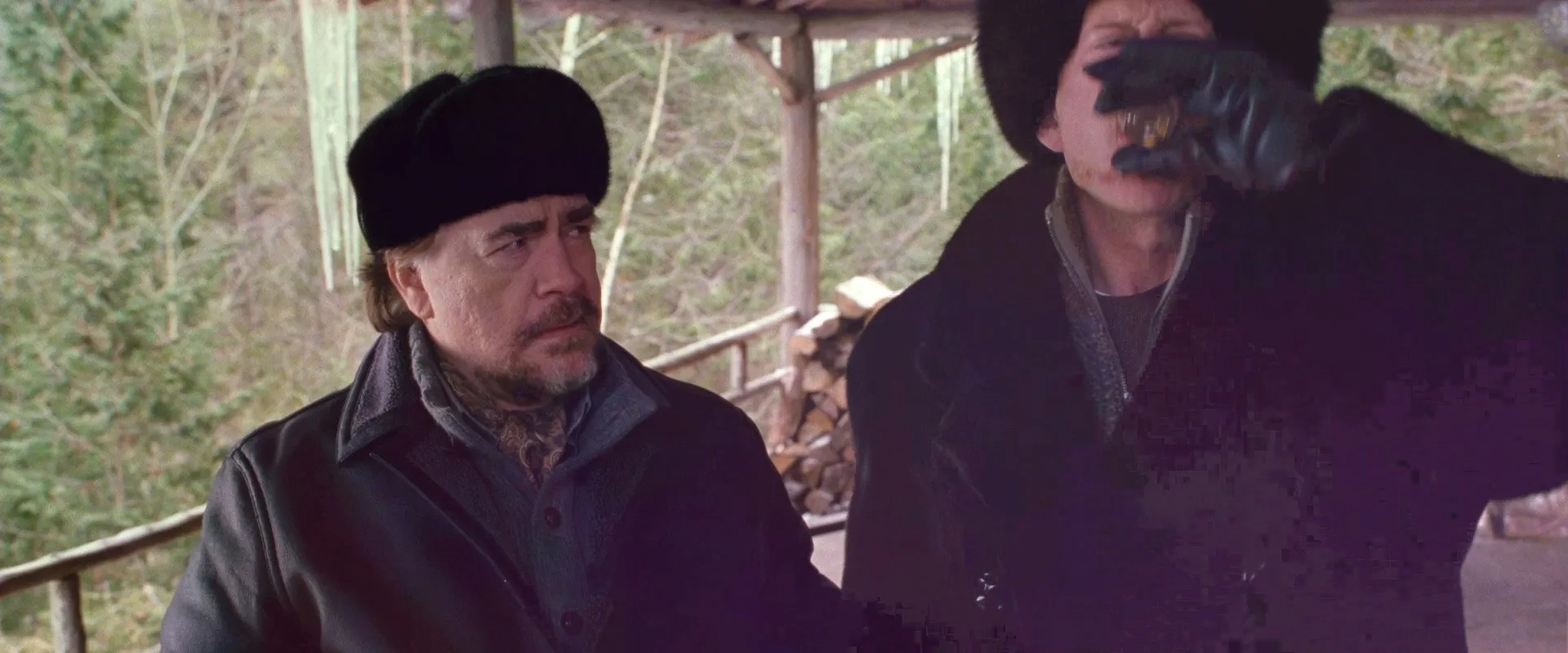 John Malkovich and Brian Cox in RED (2010)