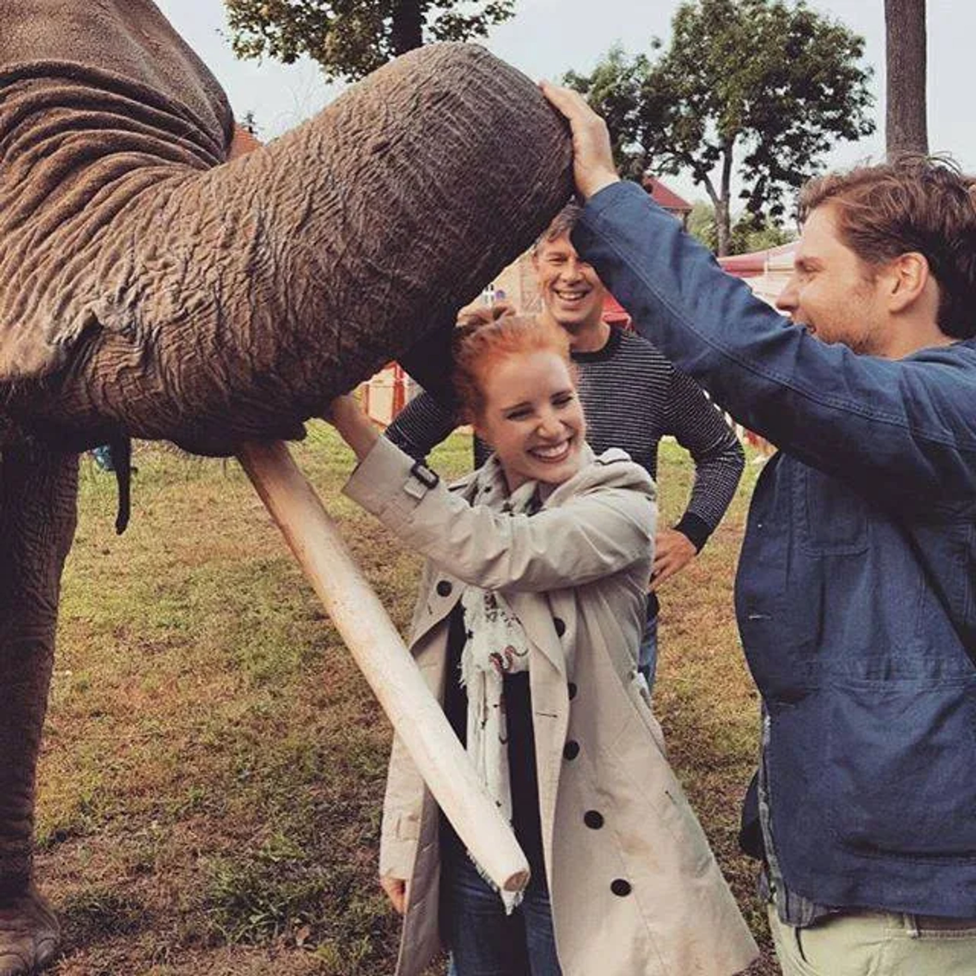 Daniel Brühl, Johan Heldenbergh, and Jessica Chastain in The Zookeeper's Wife (2017)