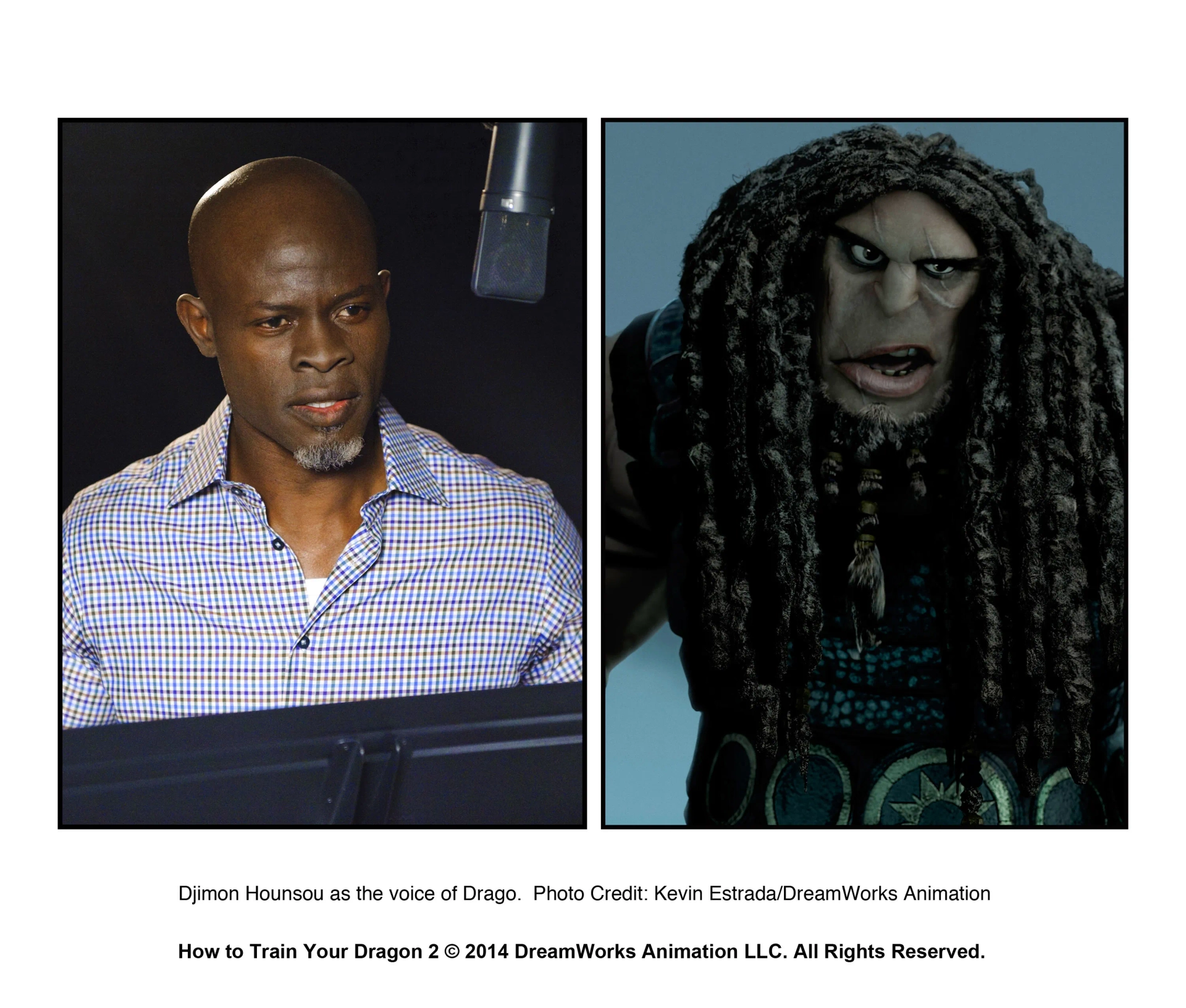 Djimon Hounsou in How to Train Your Dragon 2 (2014)