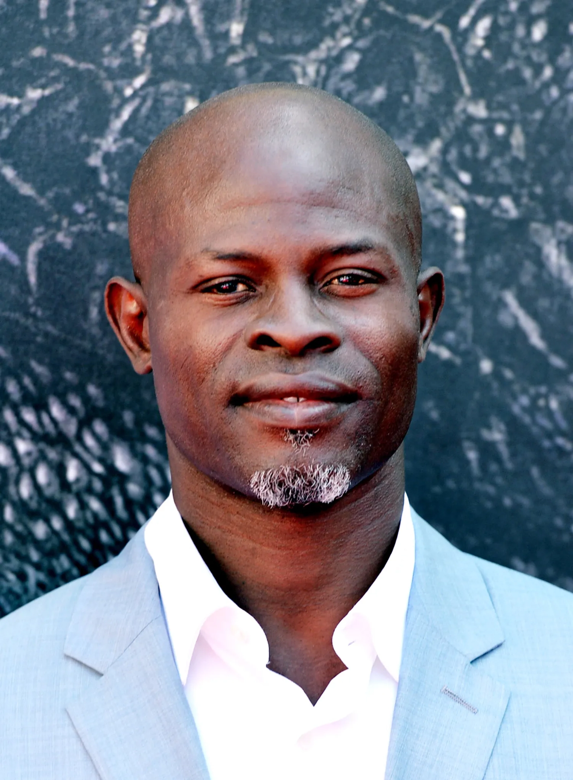 Djimon Hounsou at an event for How to Train Your Dragon 2 (2014)