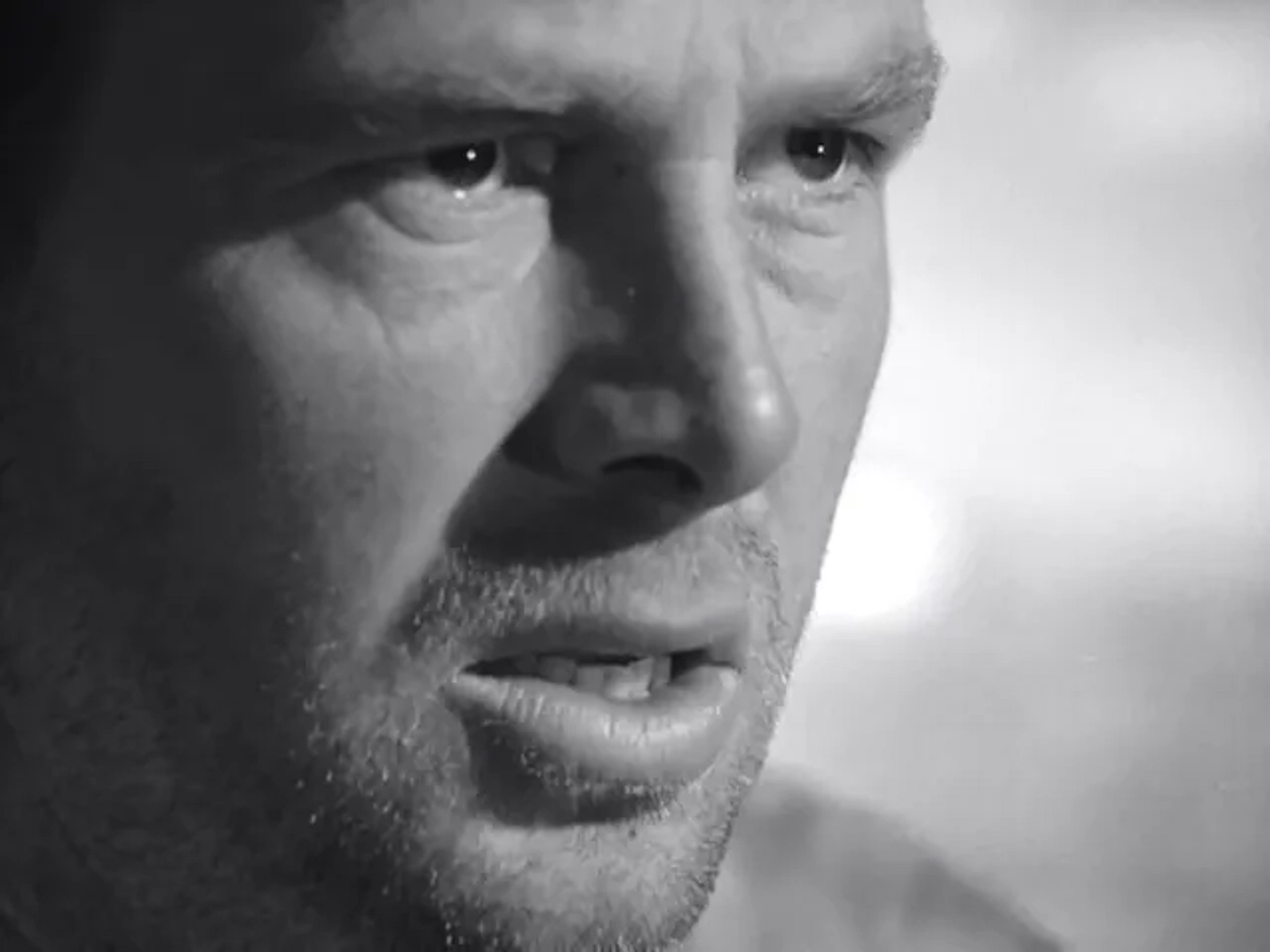 Sterling Hayden in The Asphalt Jungle (1950)