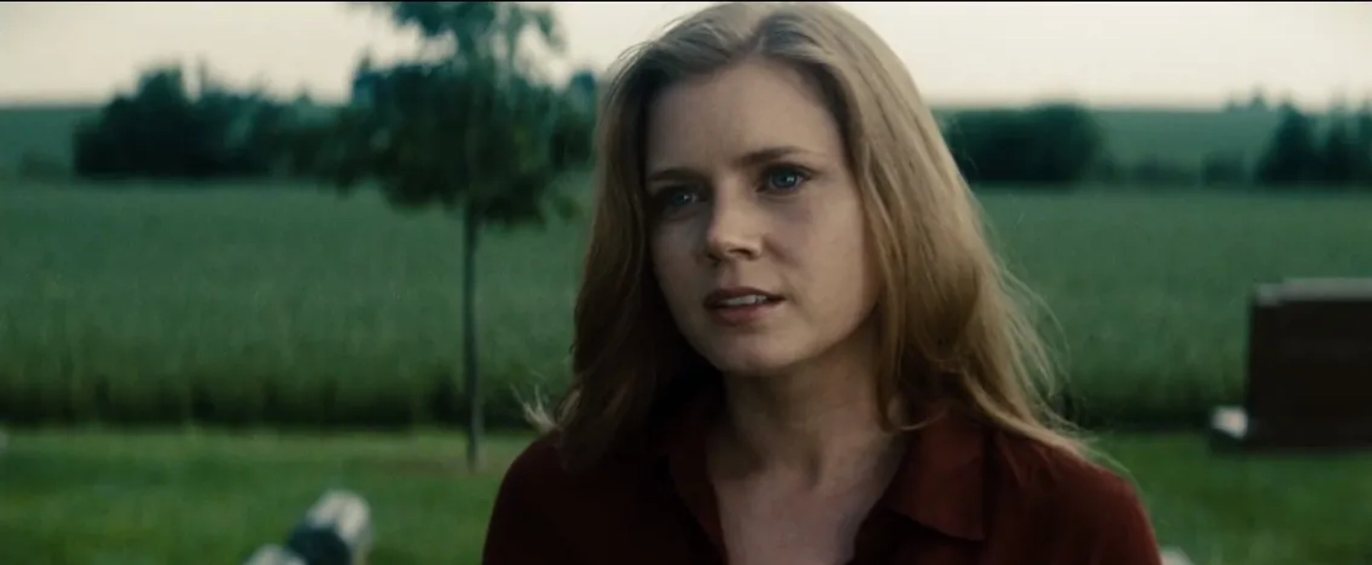 Amy Adams in Man of Steel (2013)