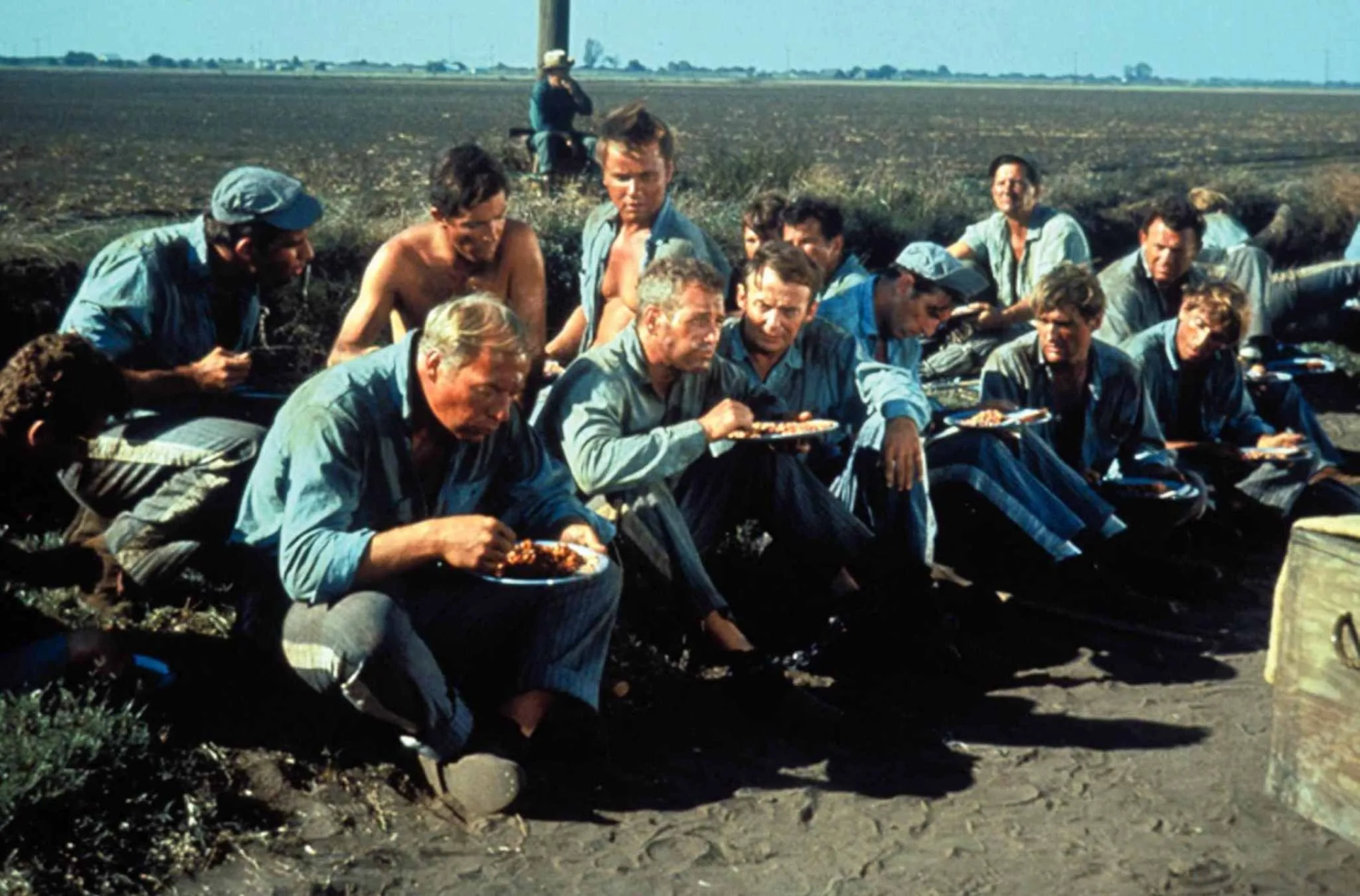 Paul Newman, Dennis Hopper, George Kennedy, Harry Dean Stanton, J.D. Cannon, Richard Davalos, Robert Drivas, Warren Finnerty, and Chuck Hicks in Cool Hand Luke (1967)