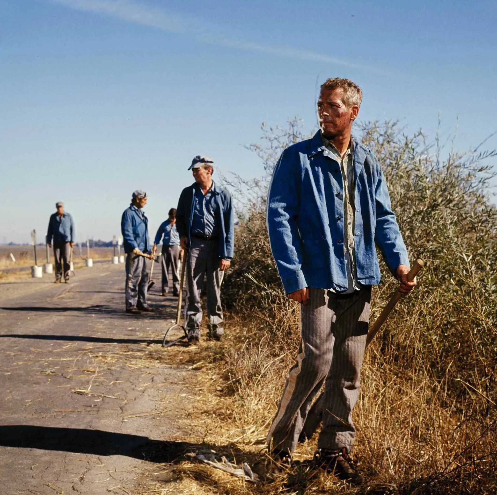 Paul Newman, Harry Dean Stanton, and Warren Finnerty in Cool Hand Luke (1967)