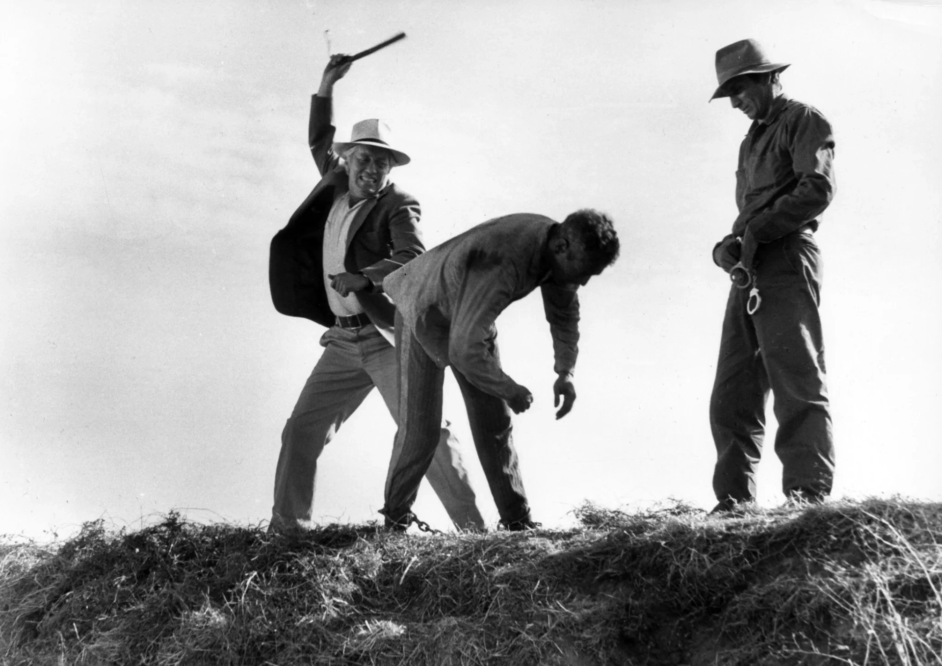 Paul Newman, Strother Martin, and Robert Donner in Cool Hand Luke (1967)