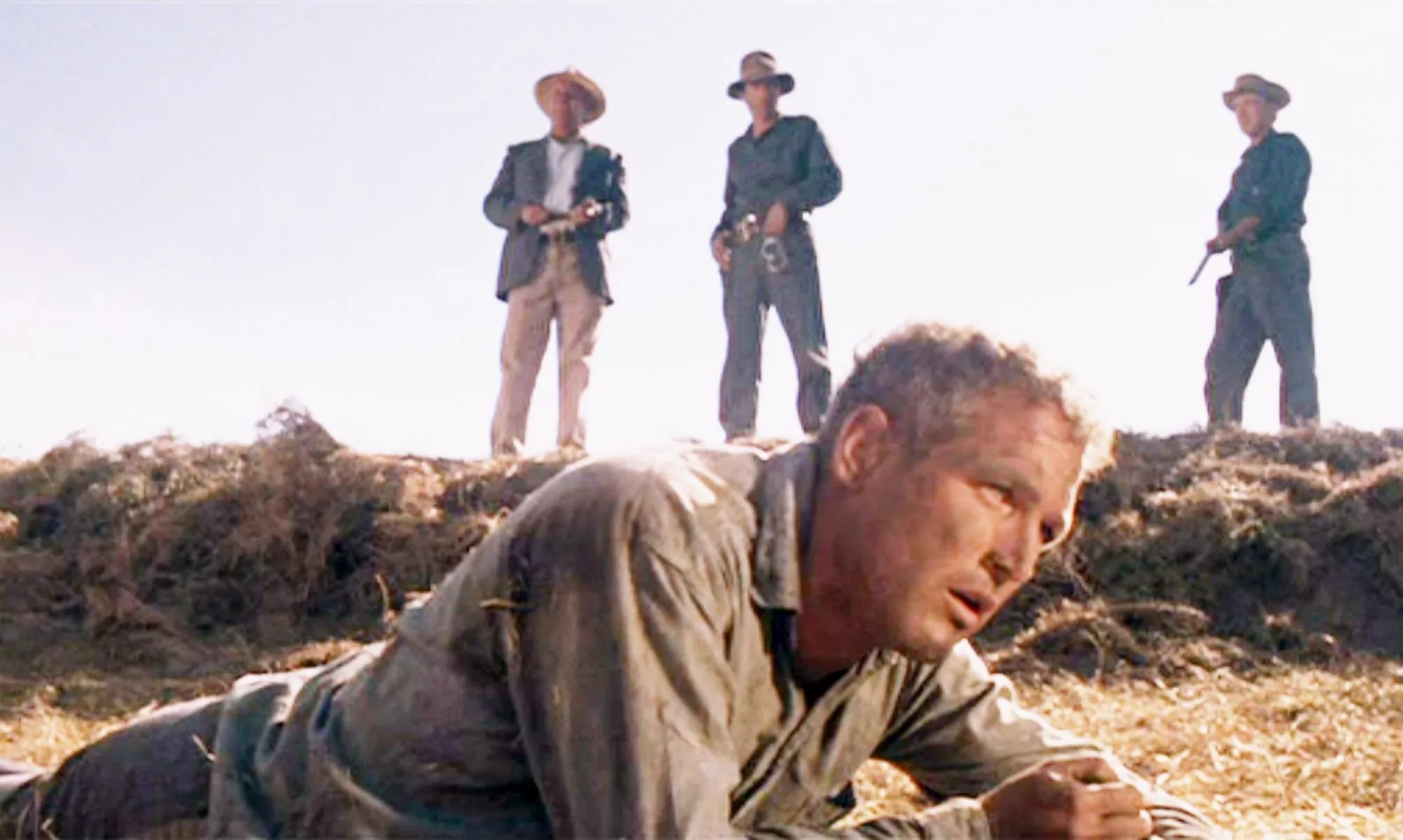 Paul Newman, Strother Martin, Robert Donner, and John McLiam in Cool Hand Luke (1967)