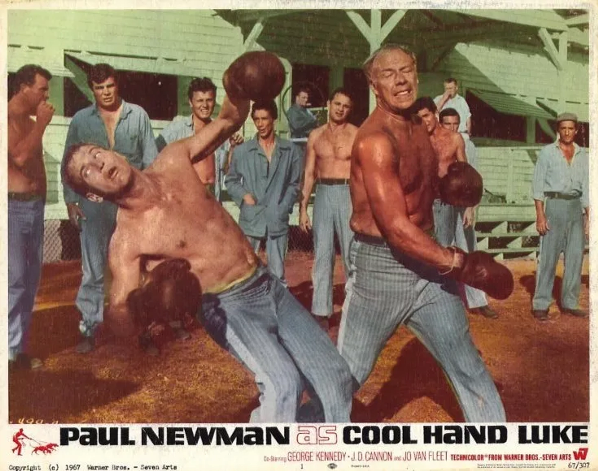 Paul Newman, George Kennedy, Harry Dean Stanton, and Marc Cavell in Cool Hand Luke (1967)