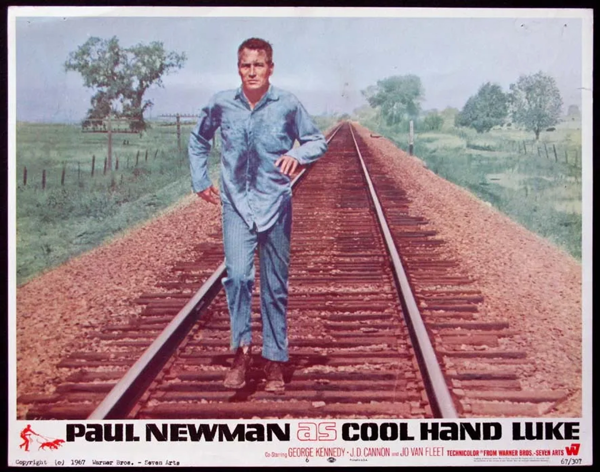 Paul Newman in Cool Hand Luke (1967)