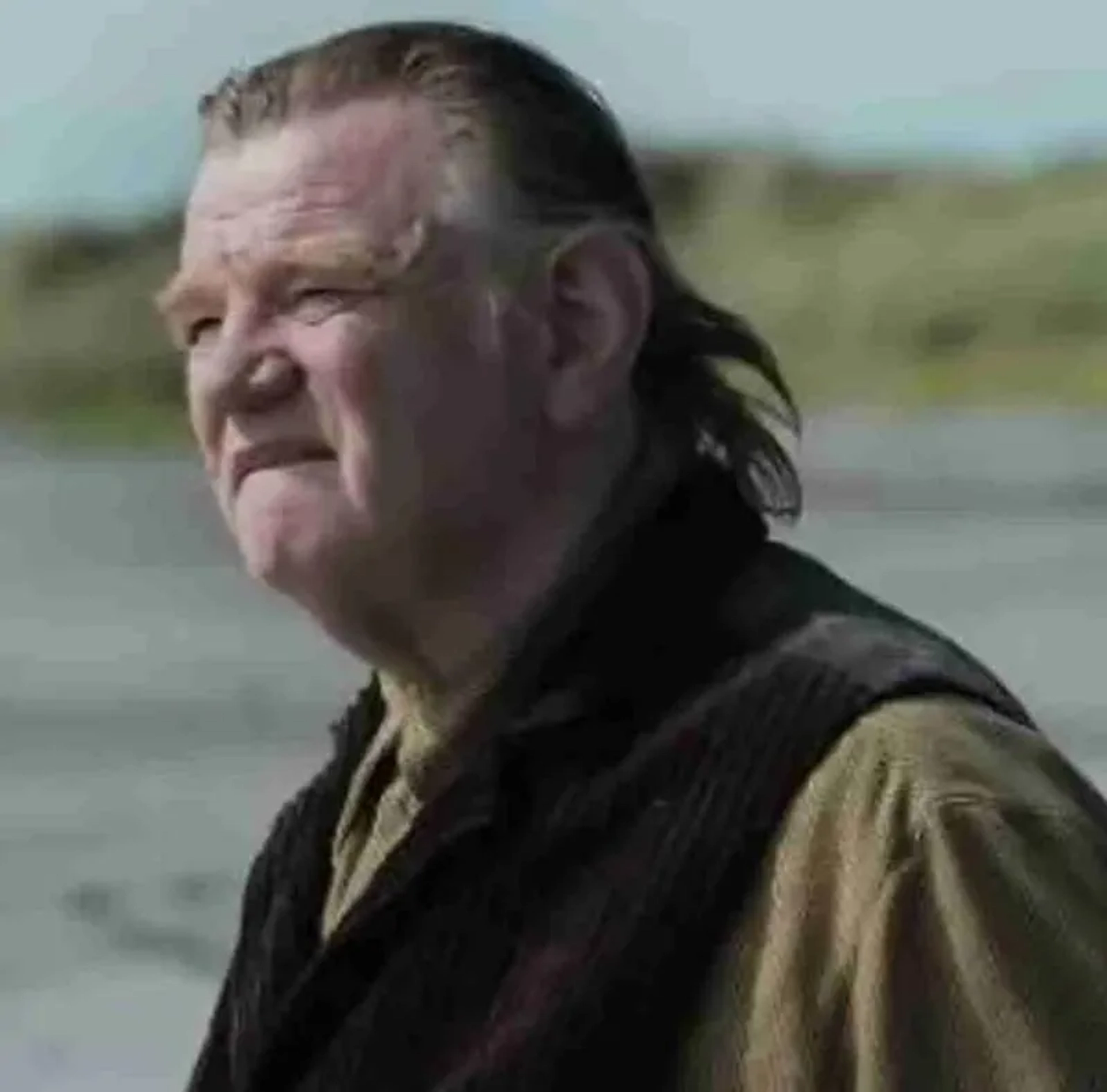 Brendan Gleeson in The Banshees of Inisherin (2022)