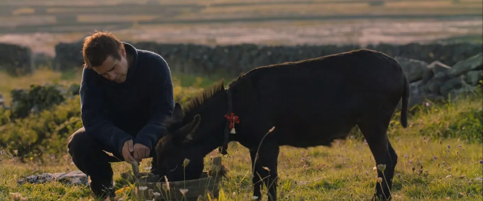 Colin Farrell and Jenny in The Banshees of Inisherin (2022)