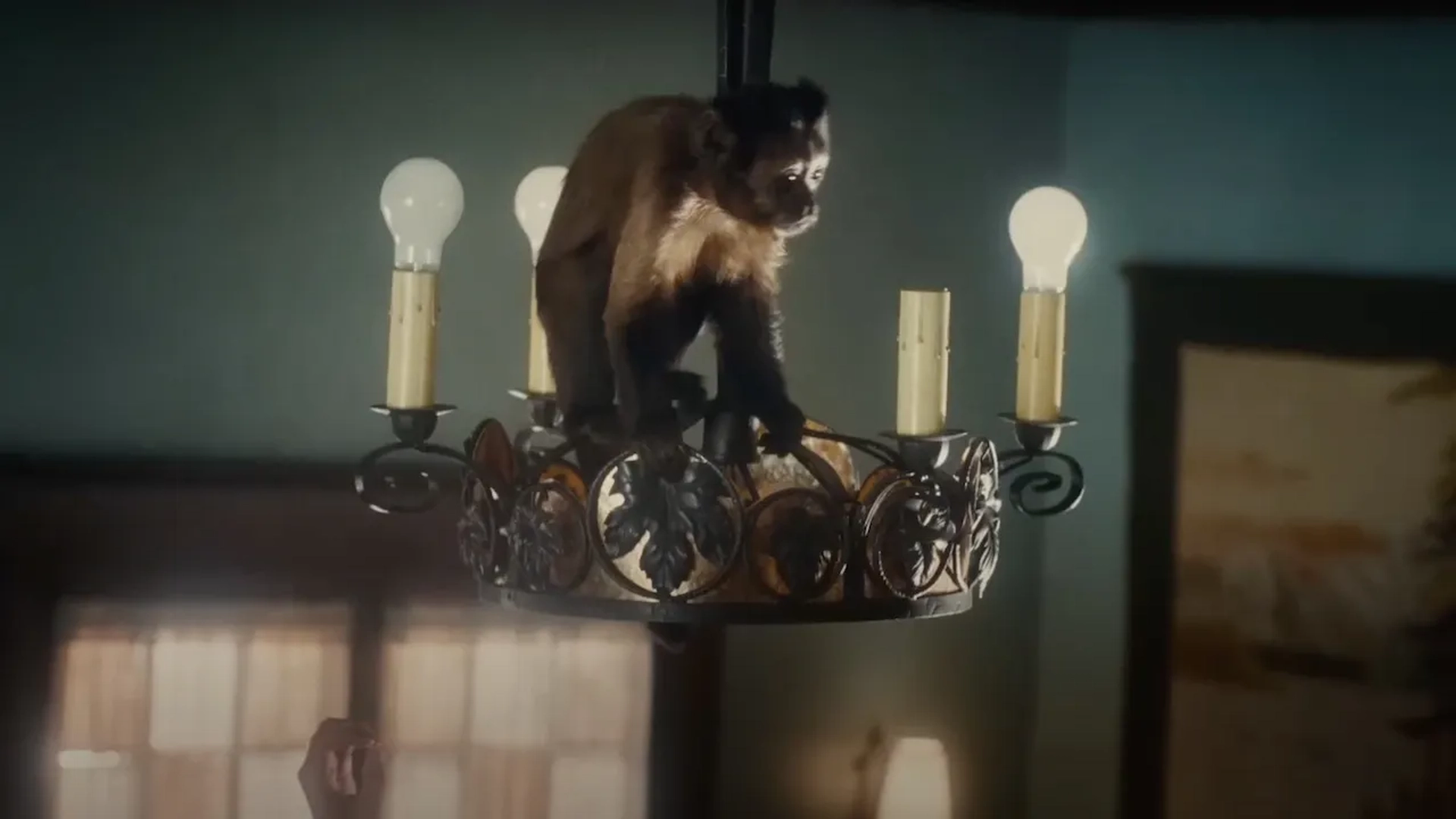 Crystal the Monkey in The Fabelmans (2022)