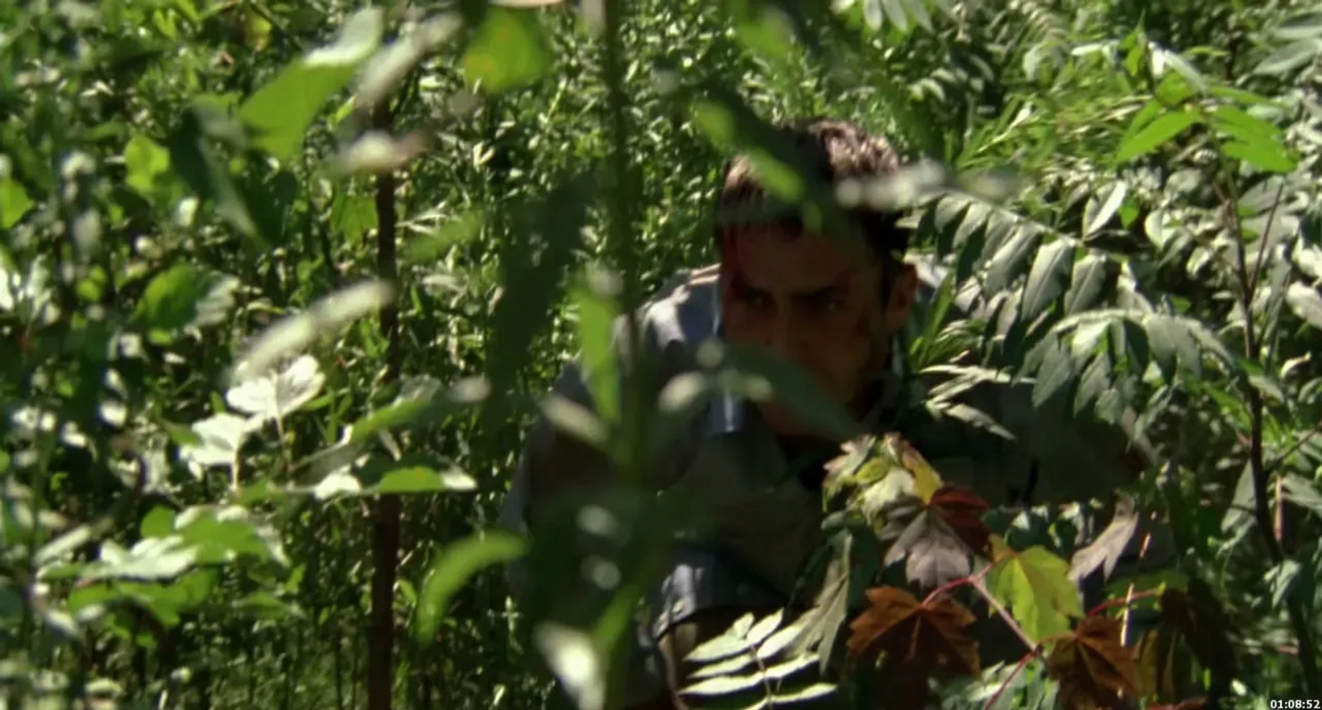 Desmond Harrington in Wrong Turn (2003)