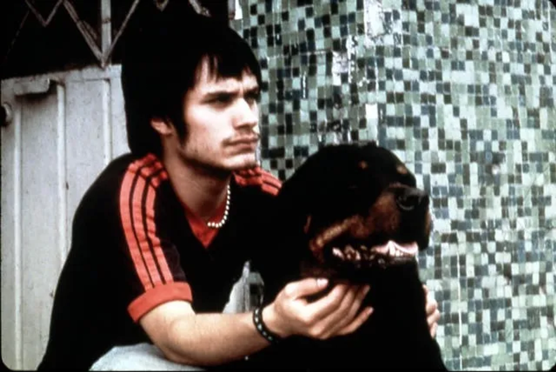 Gael García Bernal in Amores Perros (2000)