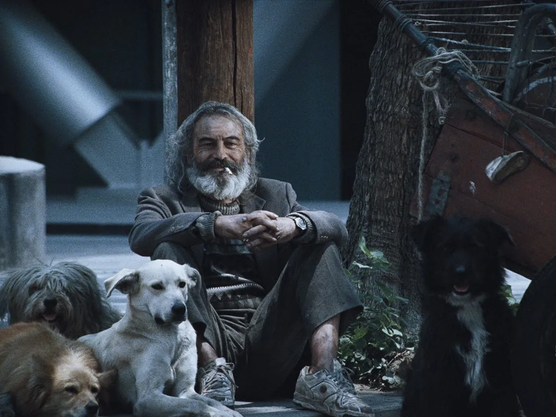 Emilio Echevarría in Amores Perros (2000)