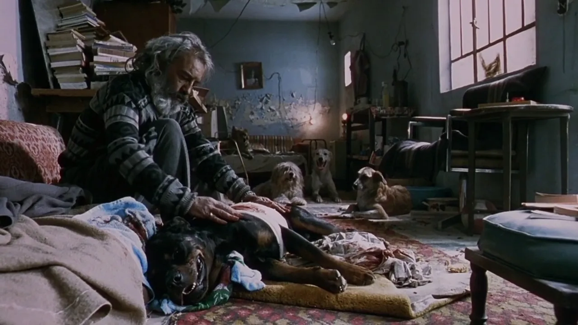 Emilio Echevarría in Amores Perros (2000)