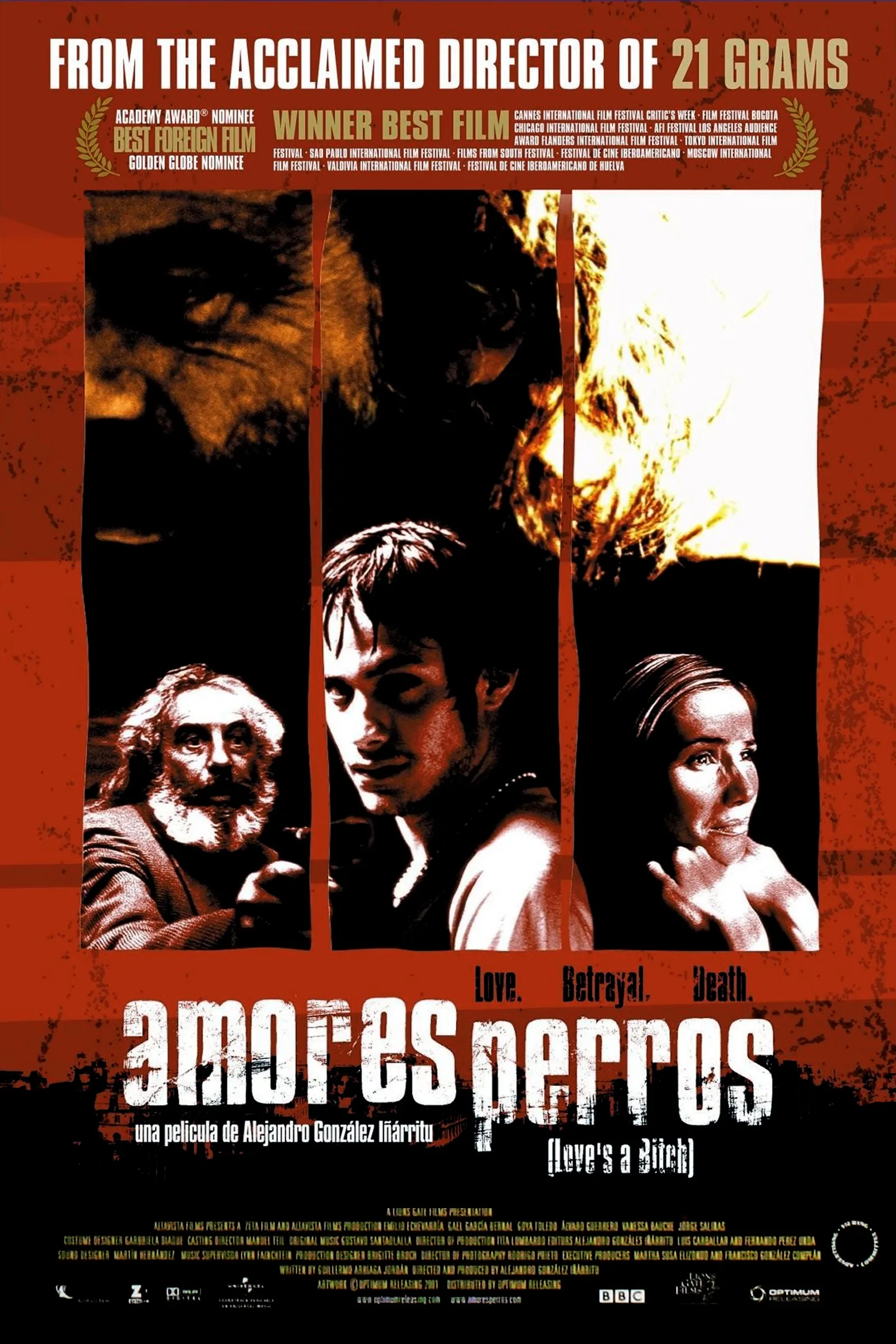 Emilio Echevarría, Gael García Bernal, and Goya Toledo in Amores Perros (2000)