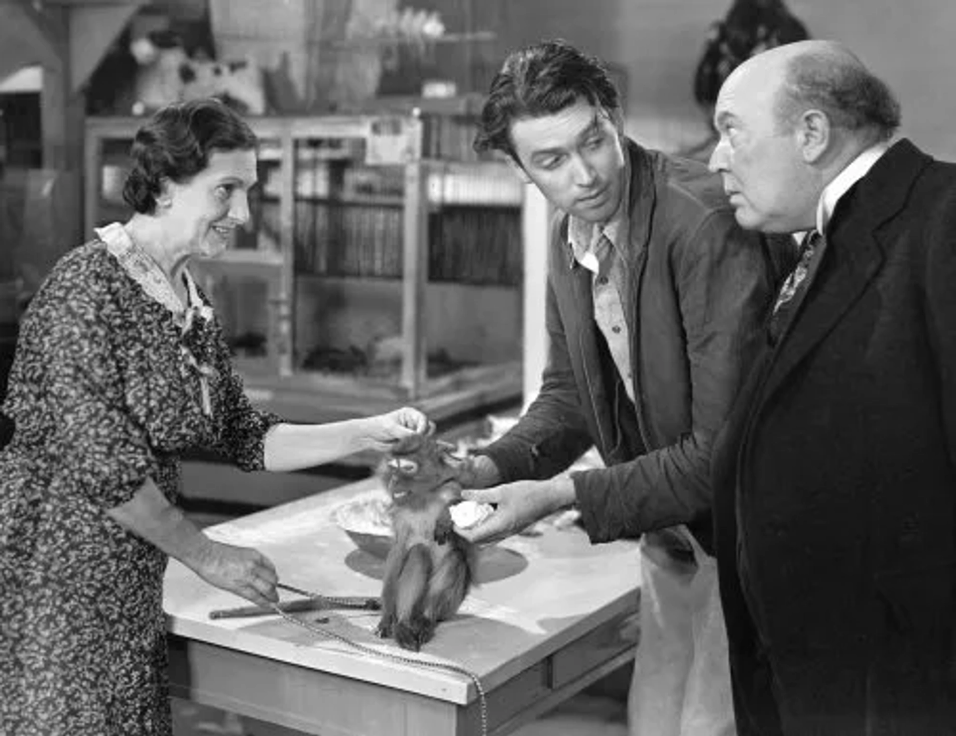 "Mr. Smith Goes to Washington" Beulah Bondi, Guy Kibbee, James Stewart 1939 Columbia