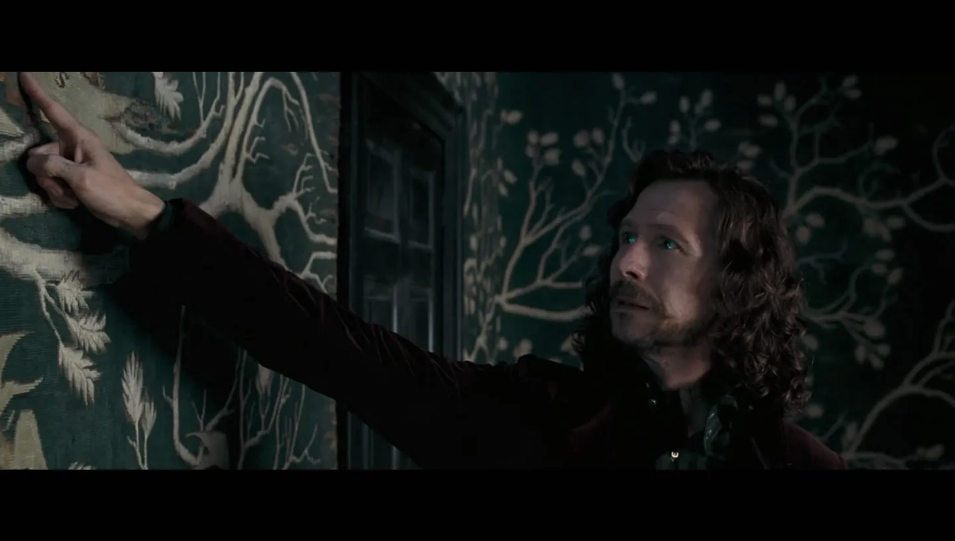 Gary Oldman in Harry Potter and the Order of the Phoenix (2007)