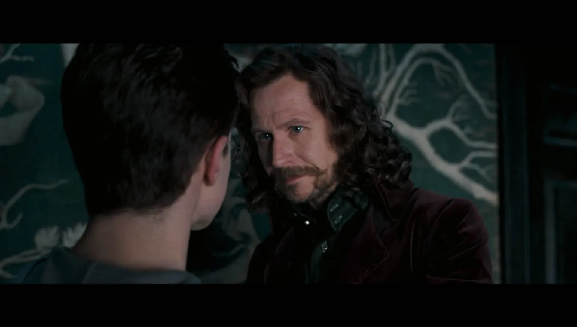 Gary Oldman in Harry Potter and the Order of the Phoenix (2007)