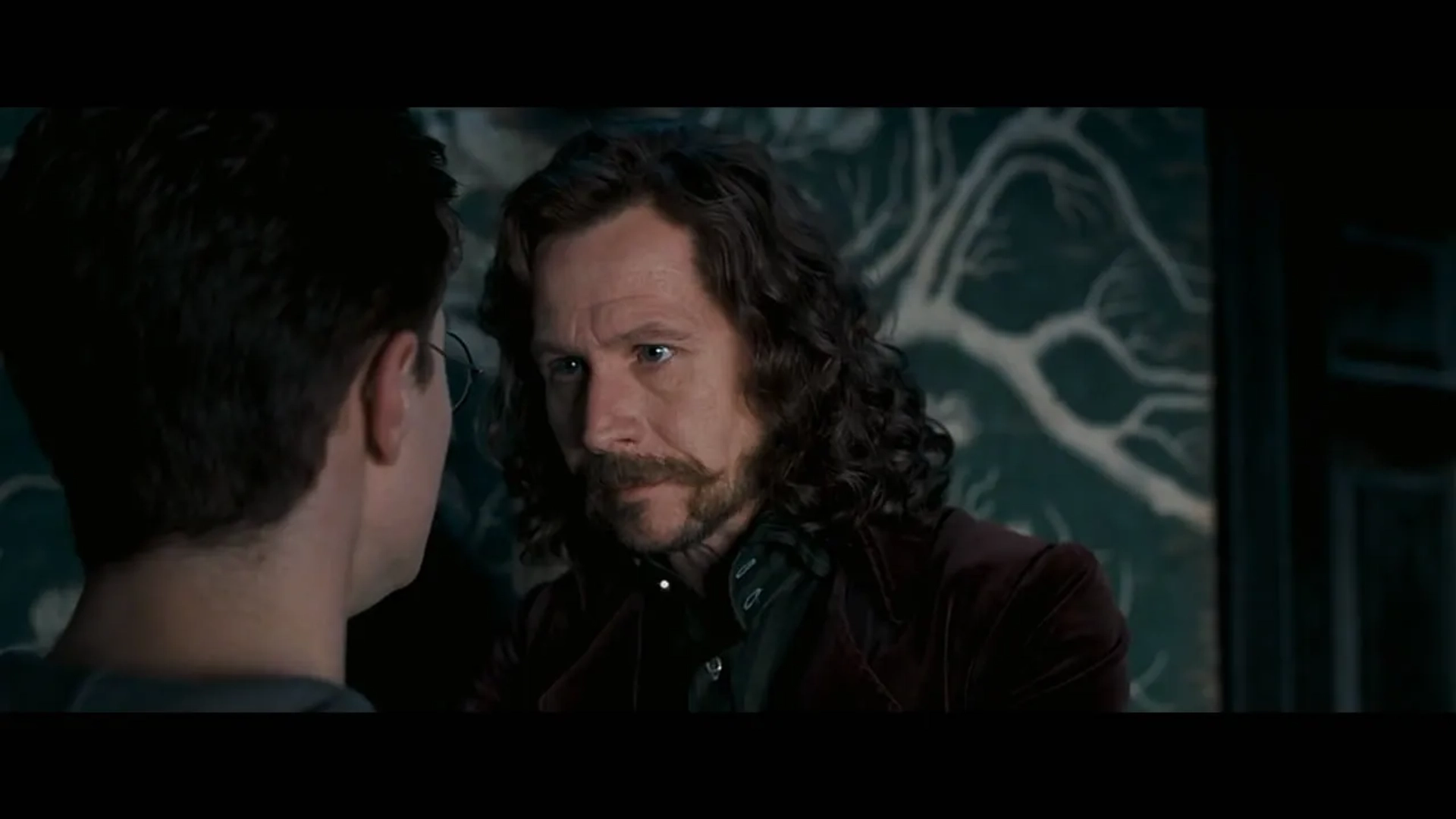 Gary Oldman in Harry Potter and the Order of the Phoenix (2007)