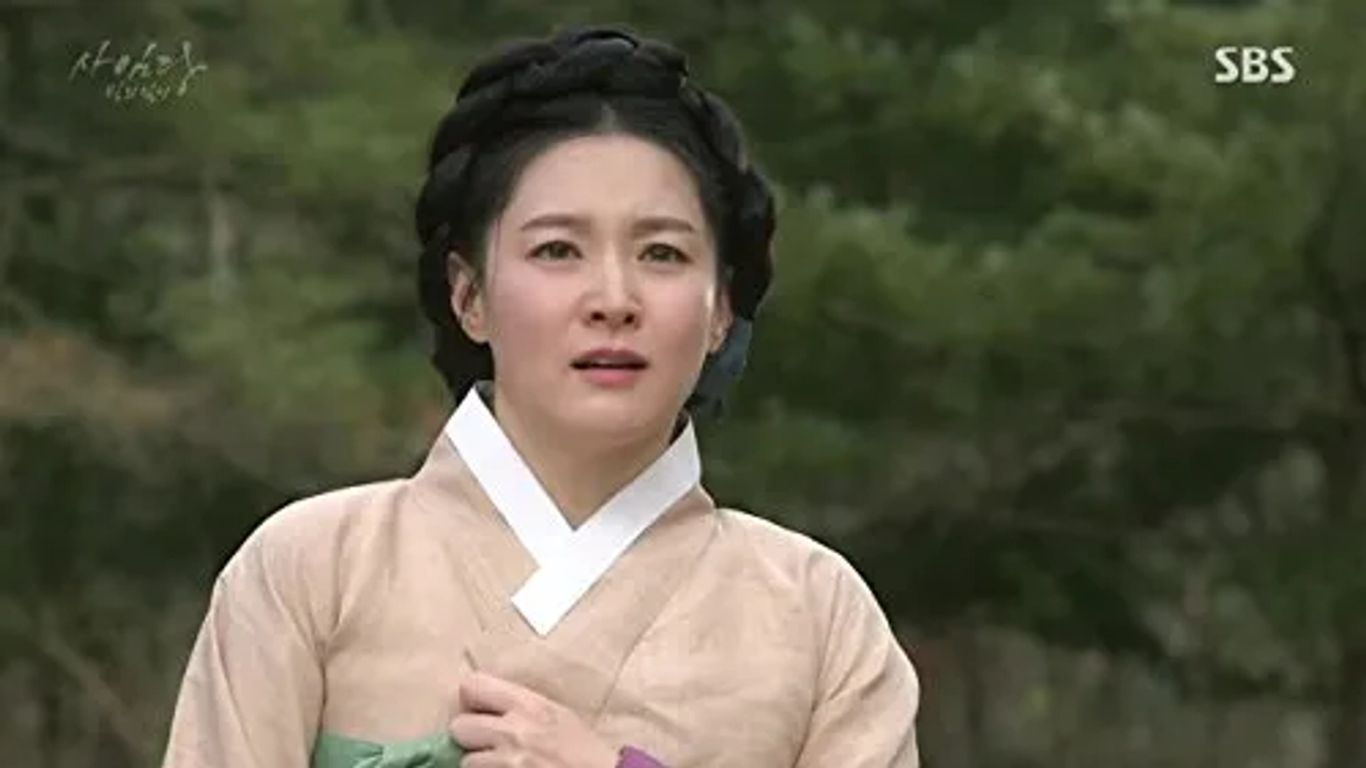 Saimdang, Bitui Ilgi (2017)