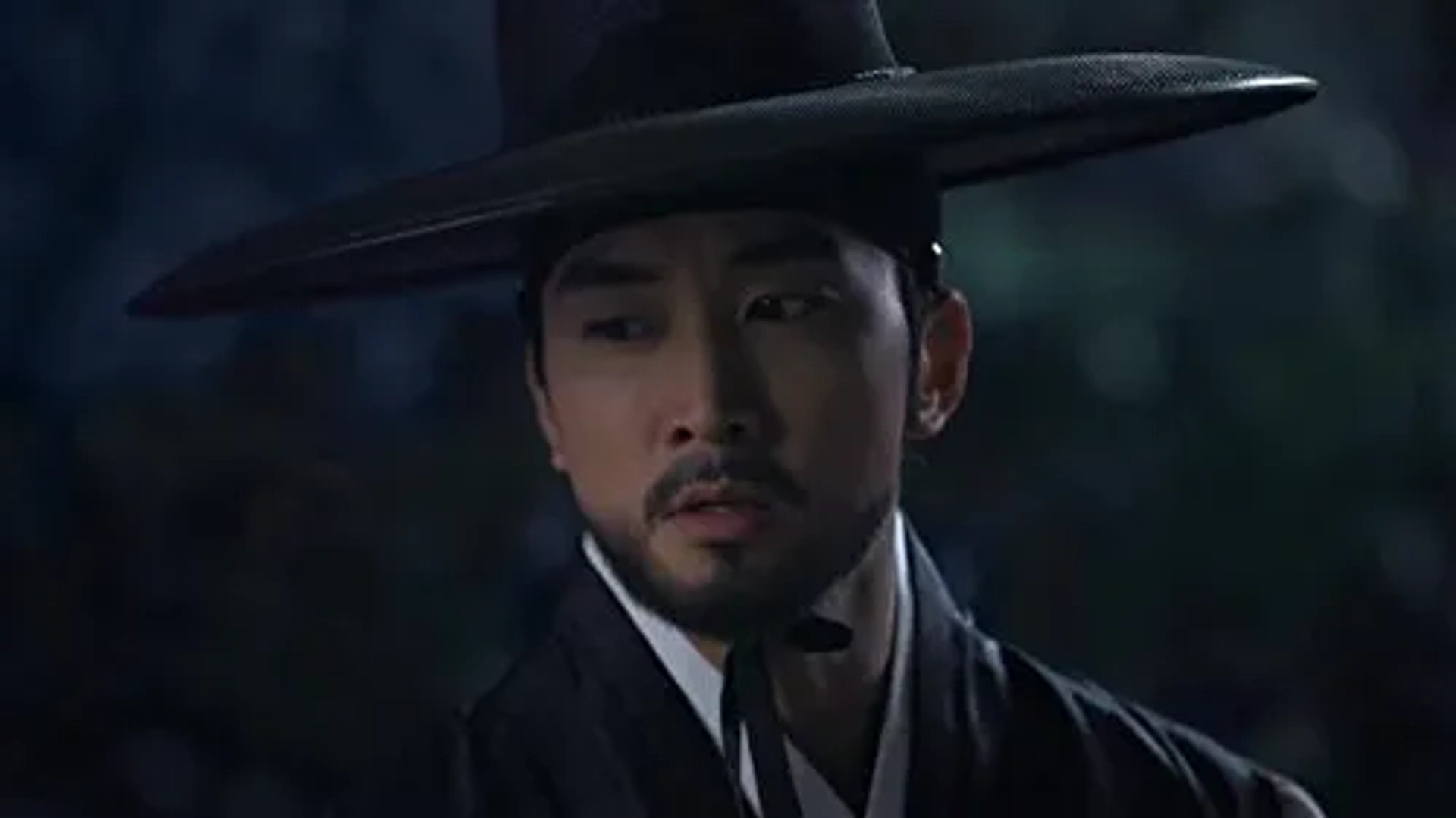 Saimdang, Bitui Ilgi (2017)