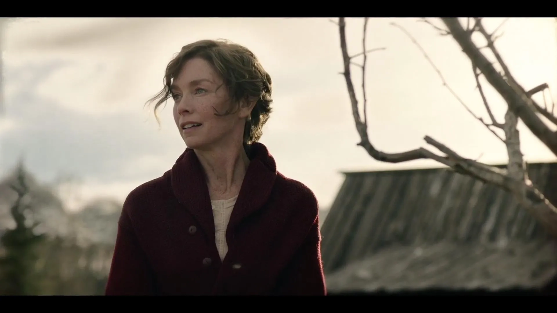 Julianne Nicholson in Togo (2019)