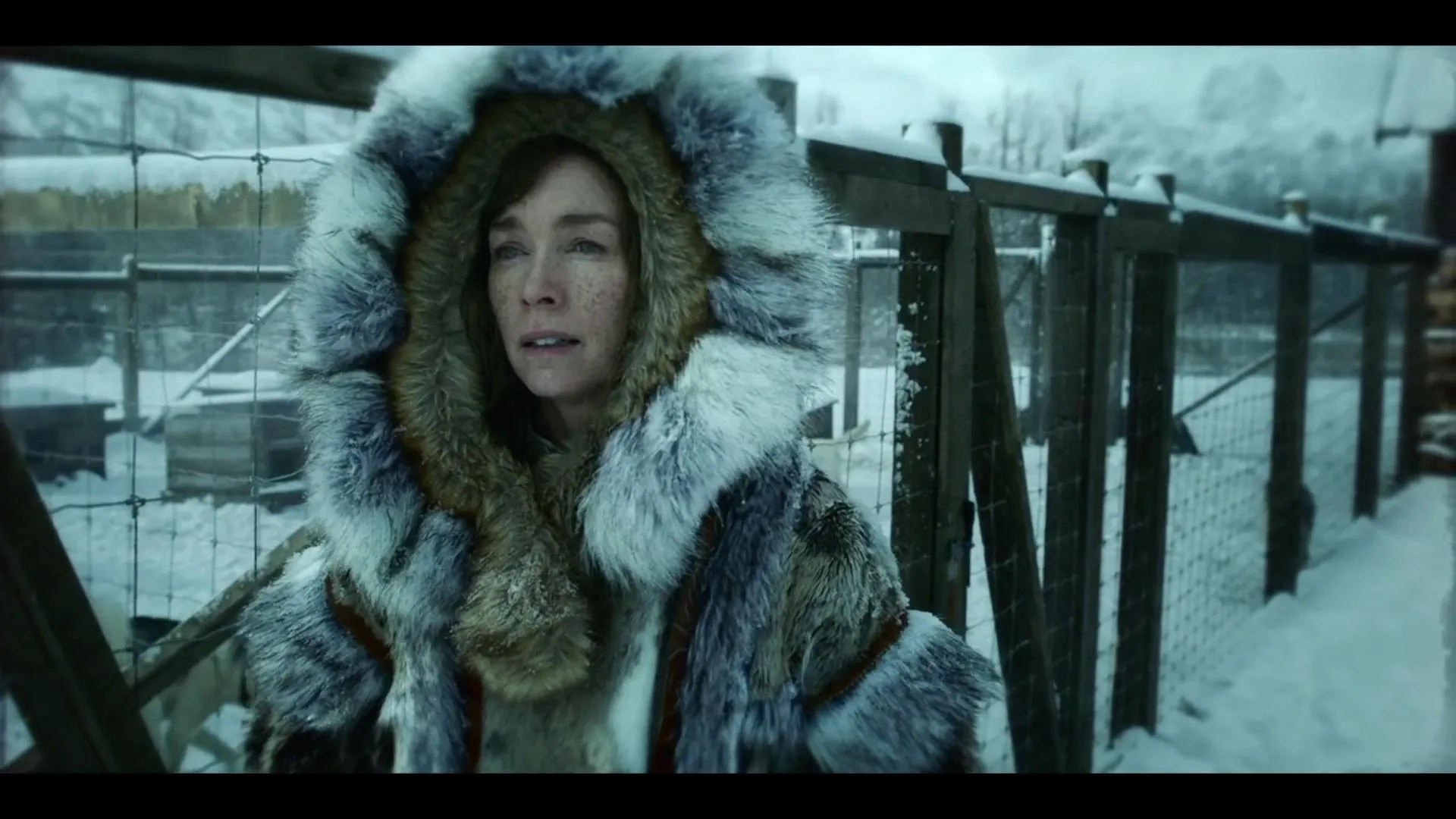 Julianne Nicholson in Togo (2019)