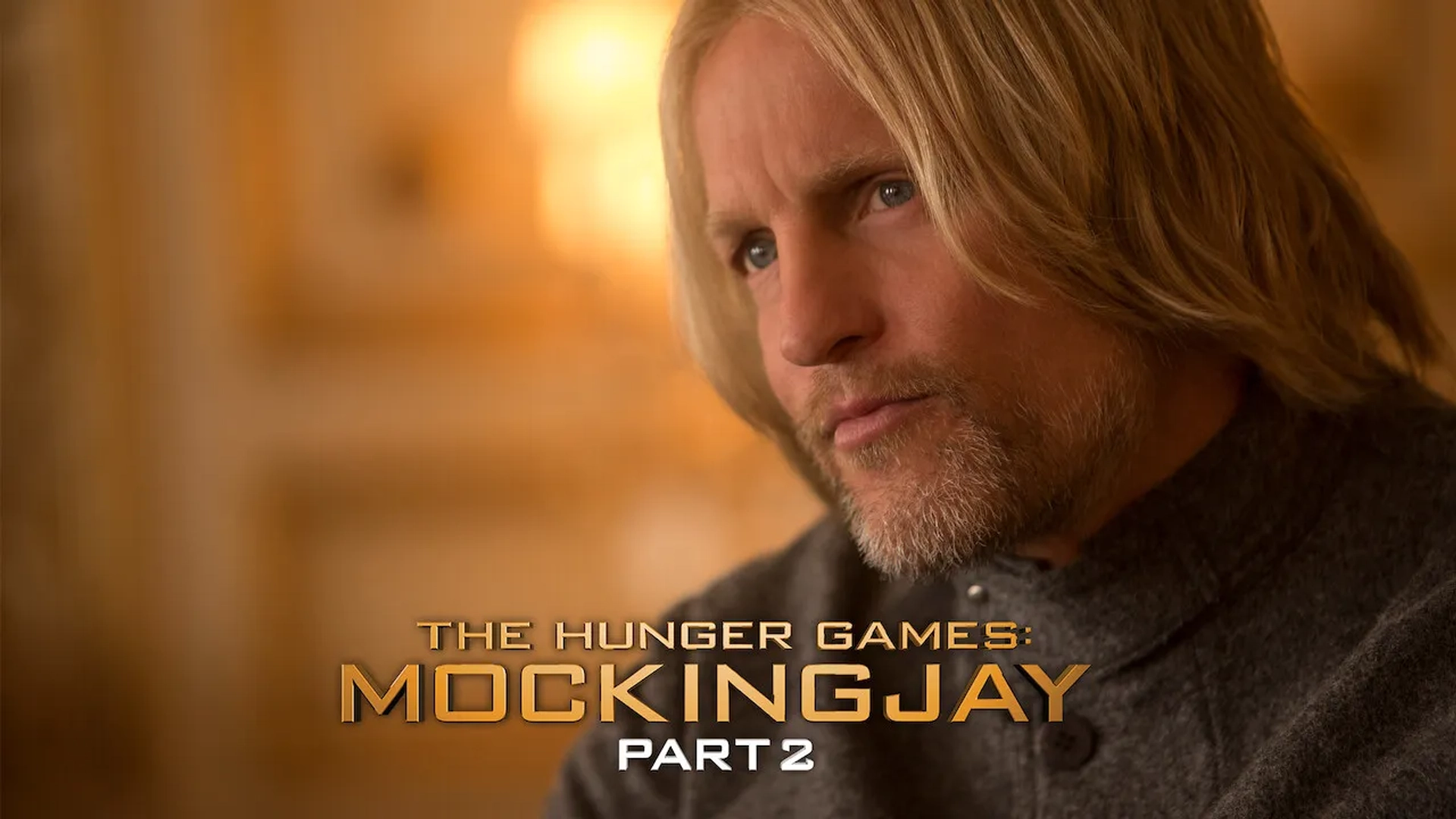 Woody Harrelson in The Hunger Games: Mockingjay - Part 2 (2015)