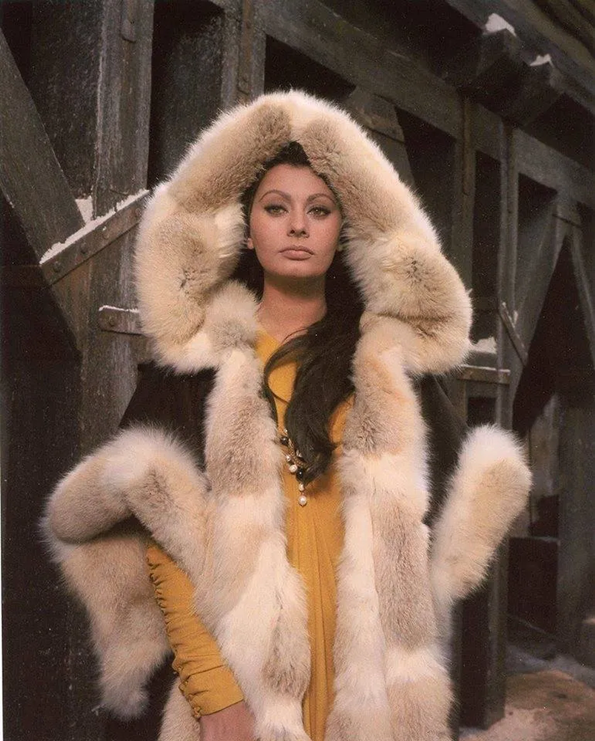 Sophia Loren in The Fall of the Roman Empire (1964)