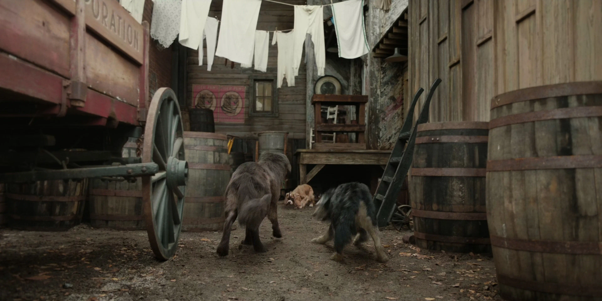 Clancy Brown, Justin Theroux, Rose, Monte, and Tessa Thompson in Lady and the Tramp (2019)