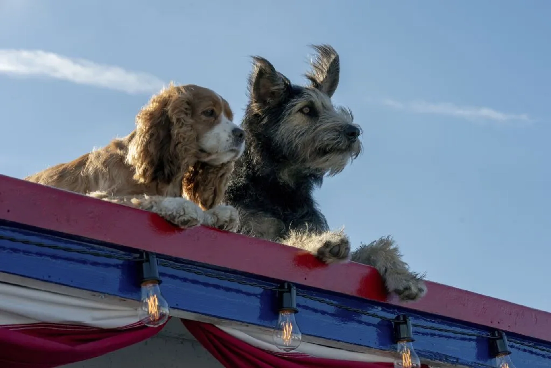 Justin Theroux, Rose, Monte, and Tessa Thompson in Lady and the Tramp (2019)