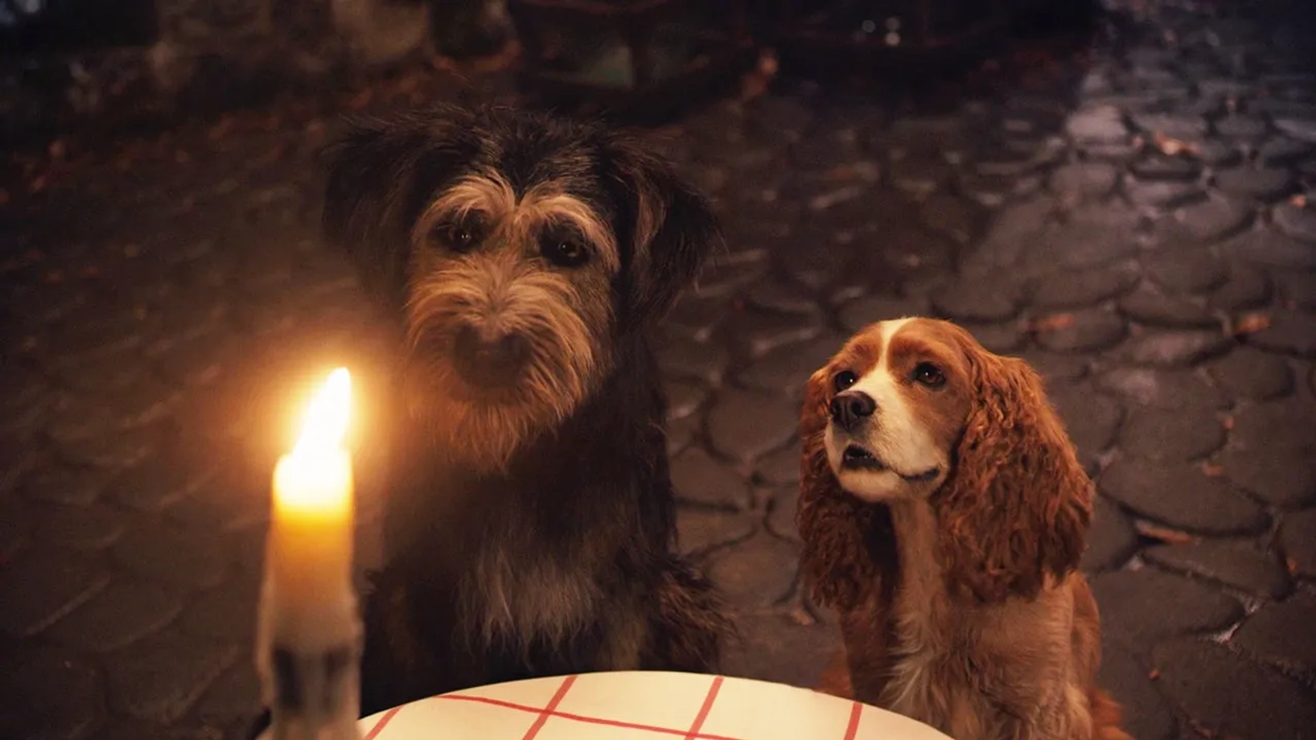 Justin Theroux, Rose, Monte, and Tessa Thompson in Lady and the Tramp (2019)