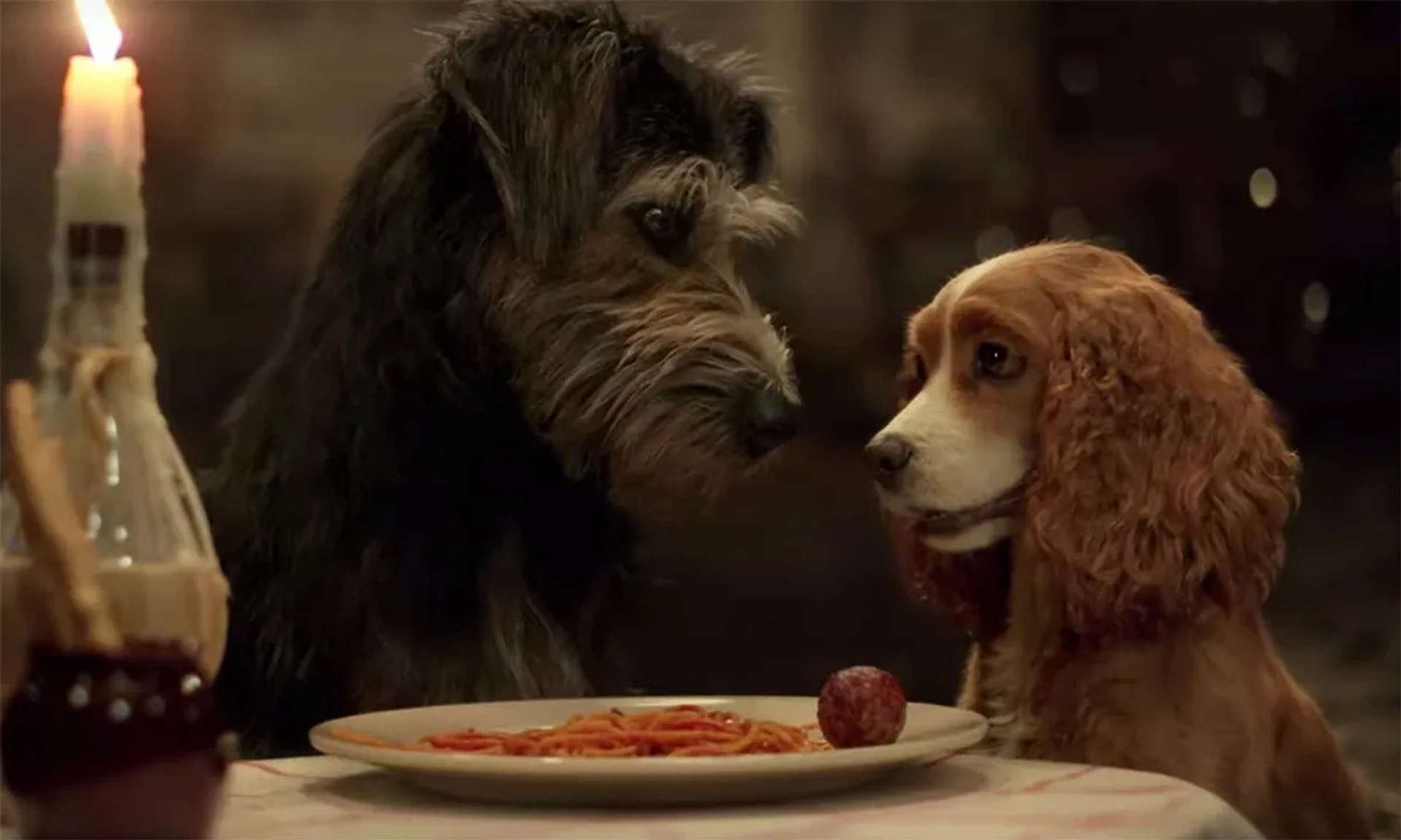 Justin Theroux, Rose, Monte, and Tessa Thompson in Lady and the Tramp (2019)