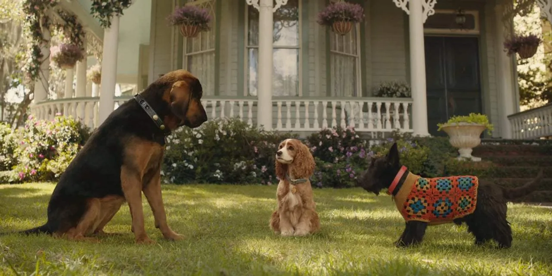 Sam Elliott, Ashley Jensen, Rose, and Tessa Thompson in Lady and the Tramp (2019)