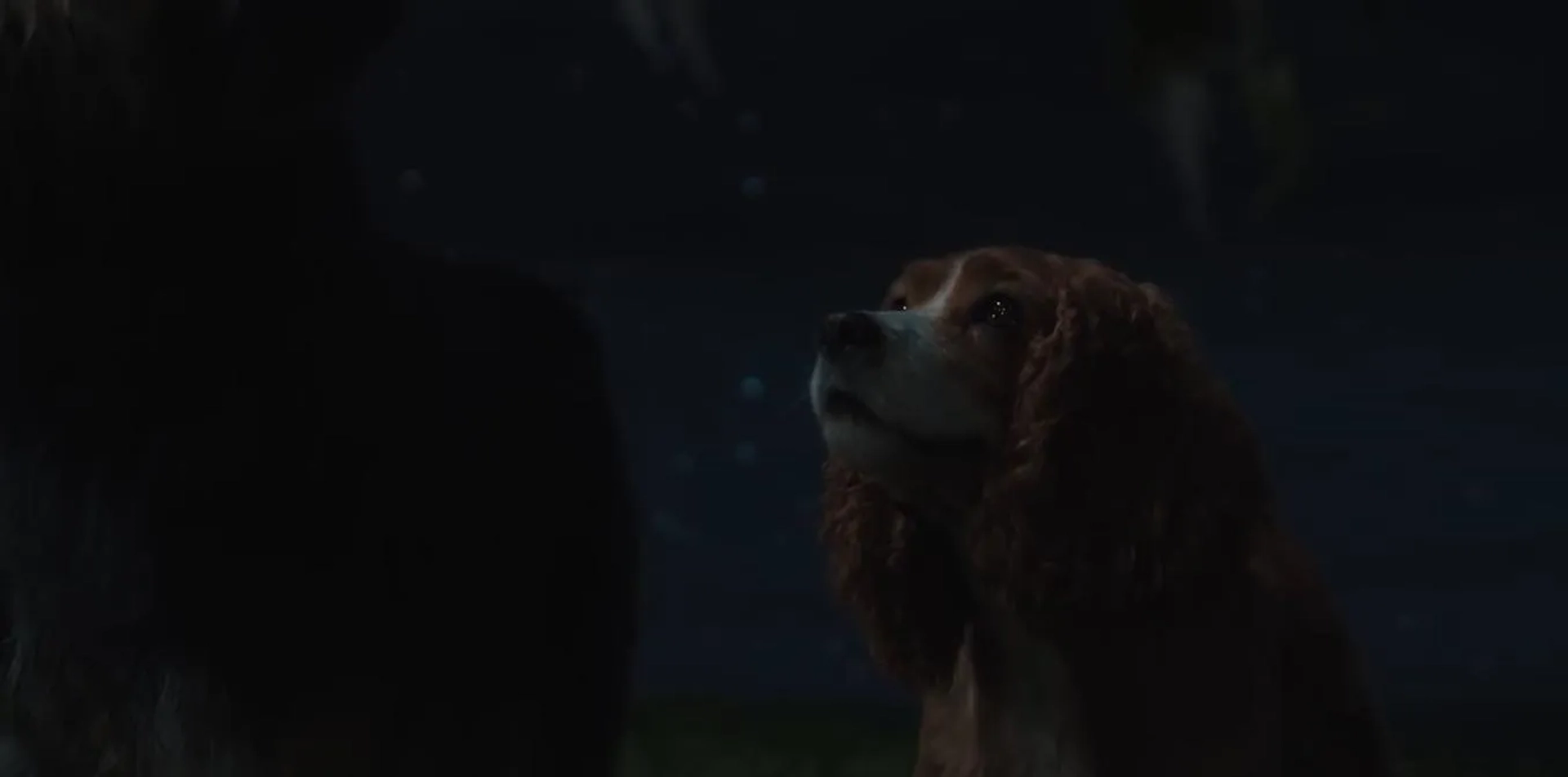 Rose and Tessa Thompson in Lady and the Tramp (2019)