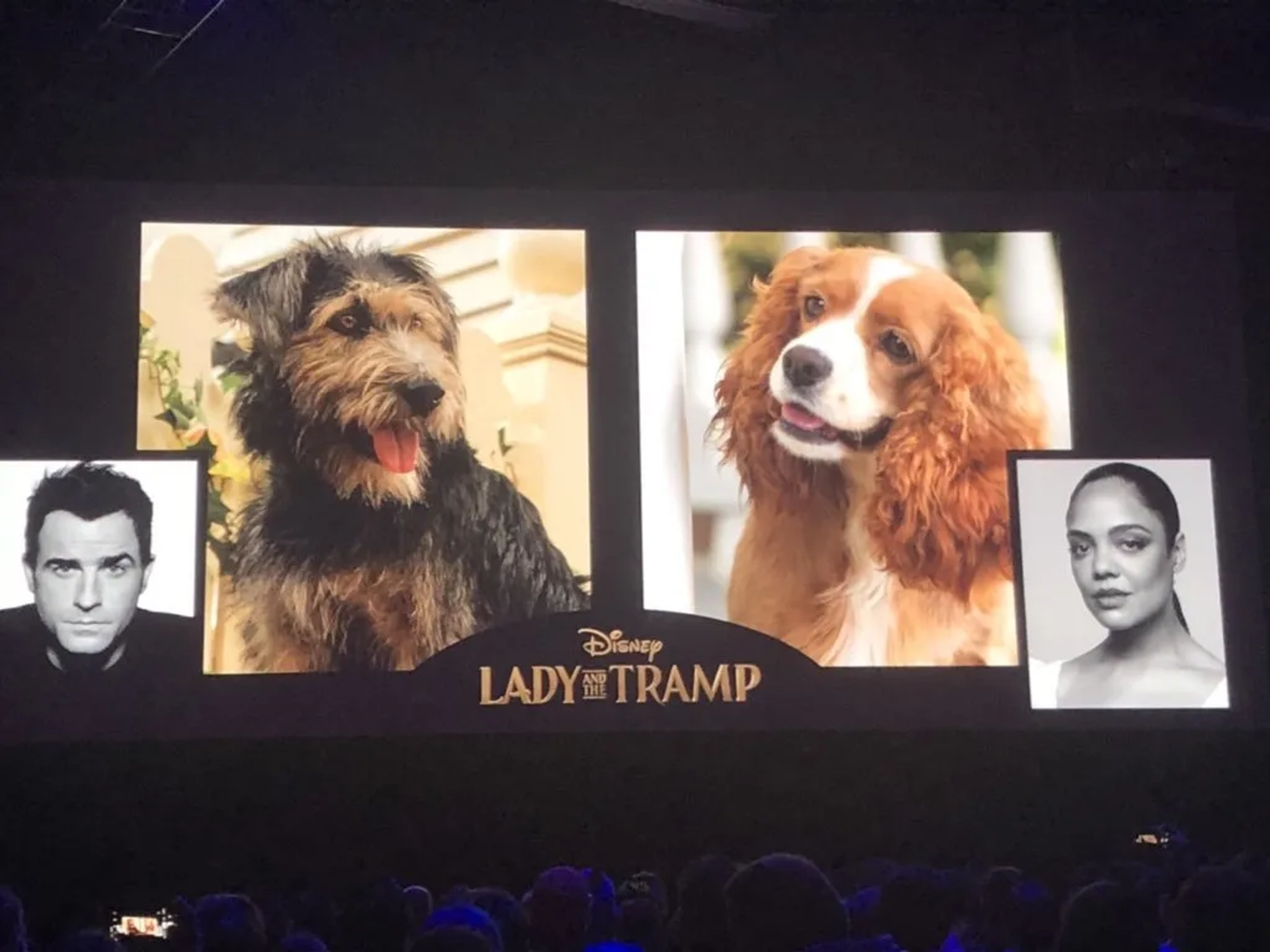 Justin Theroux, Rose, Monte, and Tessa Thompson at an event for Lady and the Tramp (2019)