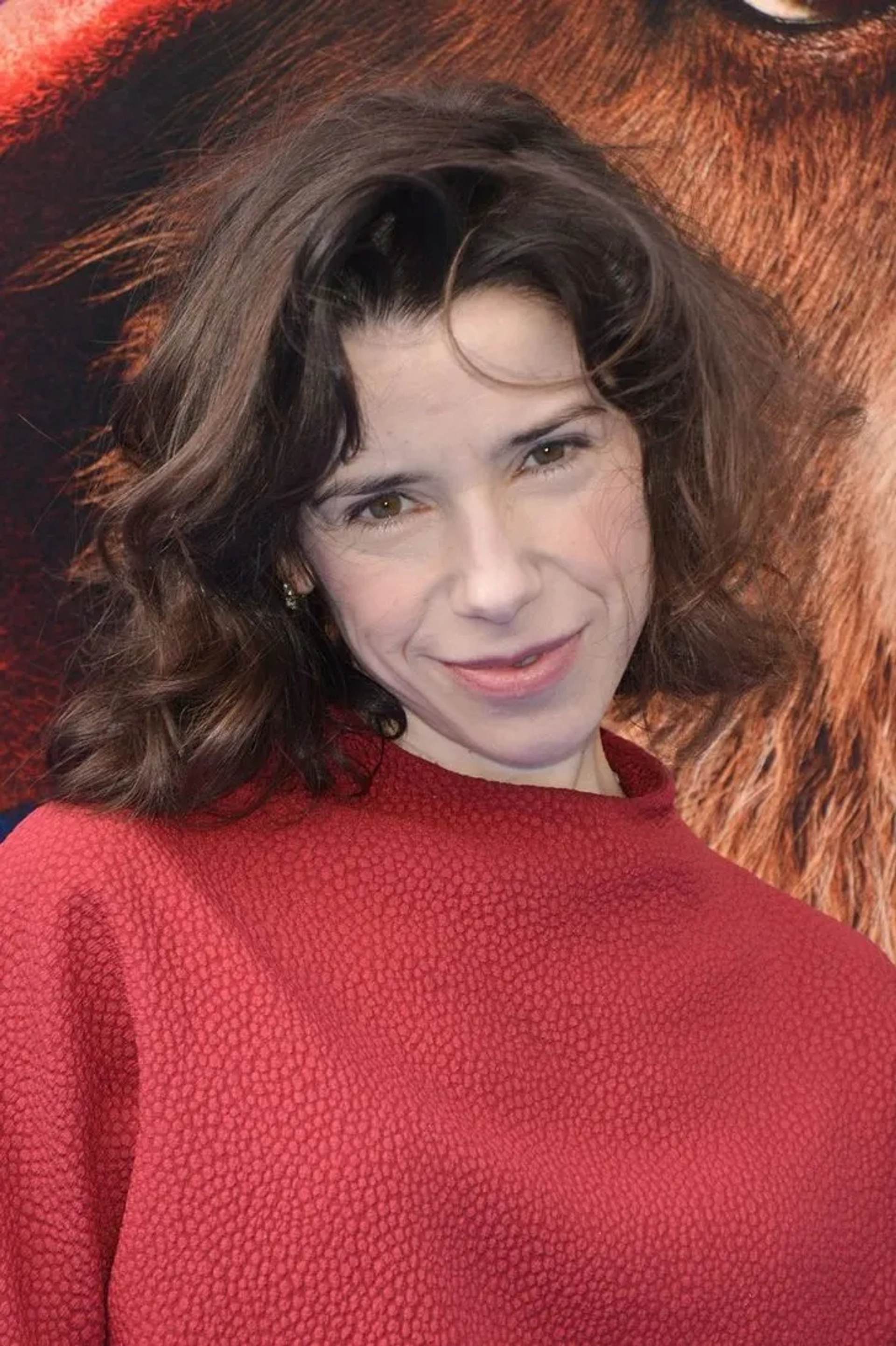 Sally Hawkins at an event for Paddington 2 (2017)