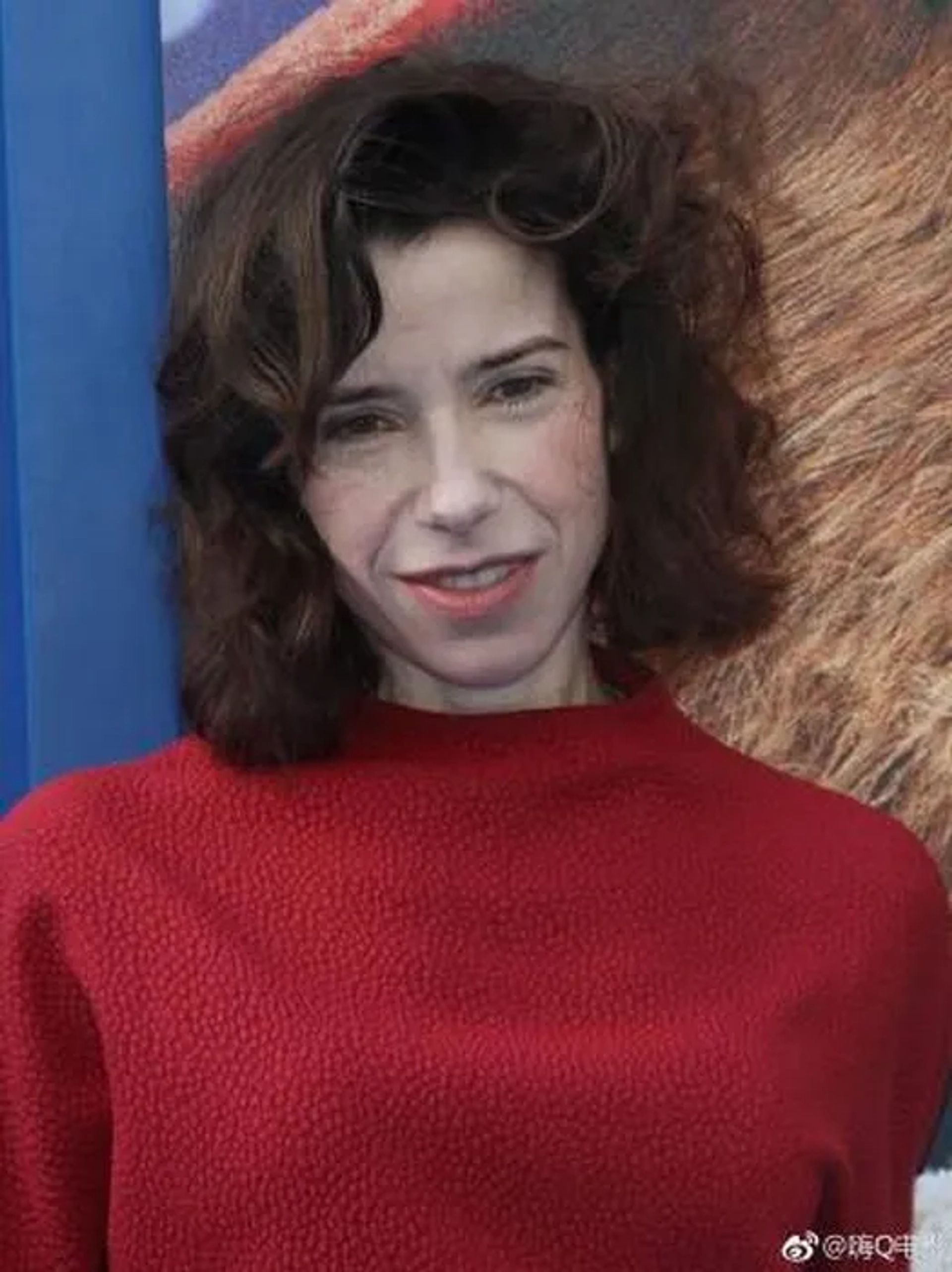 Sally Hawkins at an event for Paddington 2 (2017)