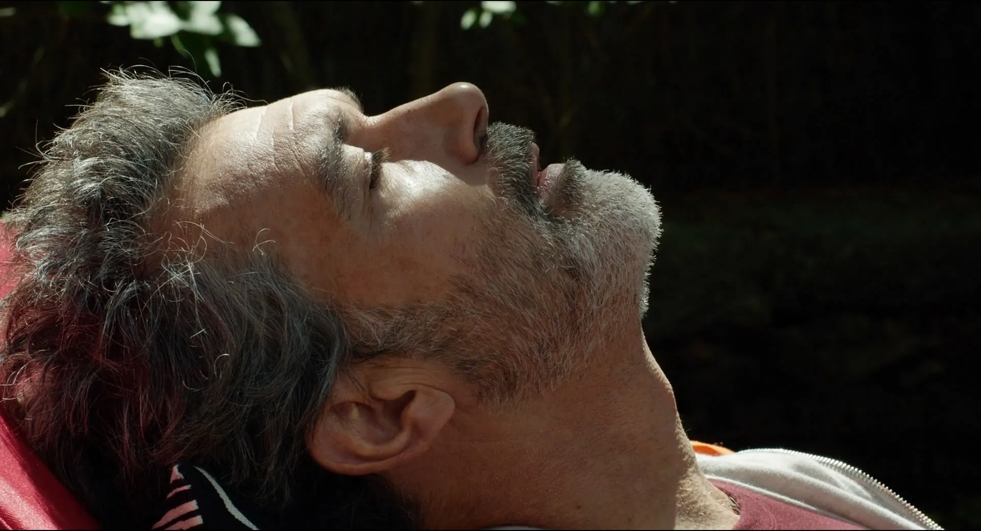 Antonio Banderas in Pain and Glory (2019)