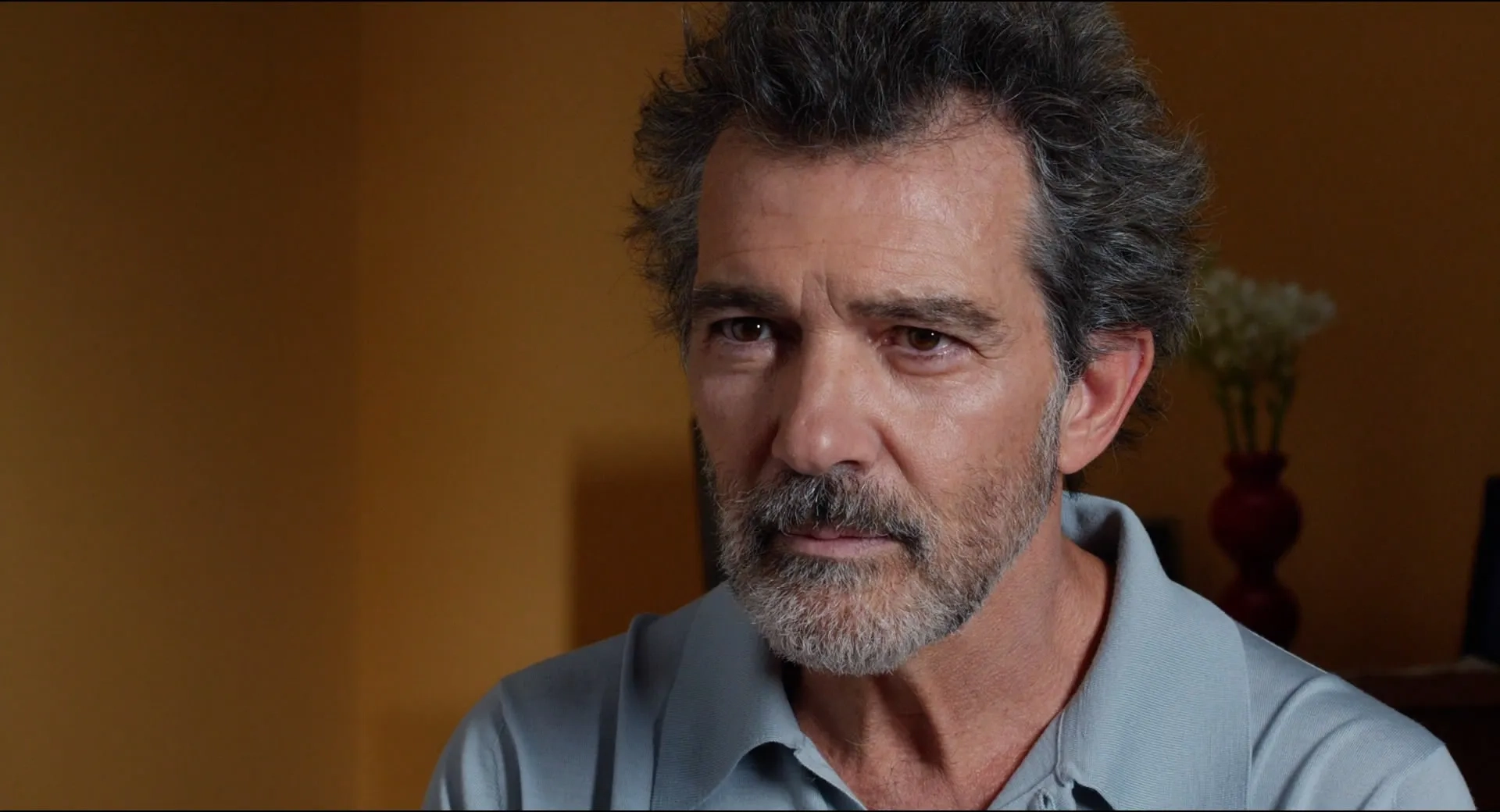 Antonio Banderas in Pain and Glory (2019)