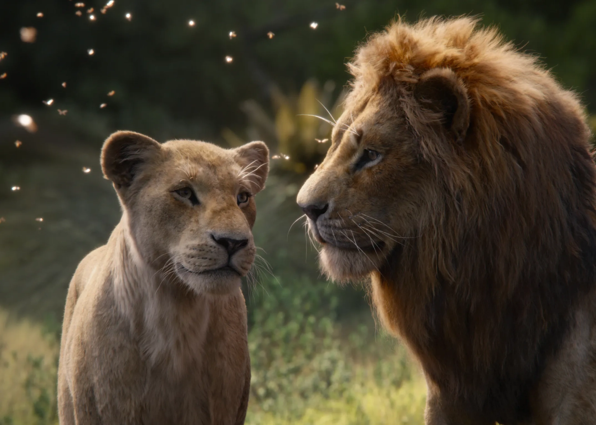 Beyoncé and Donald Glover in The Lion King (2019)